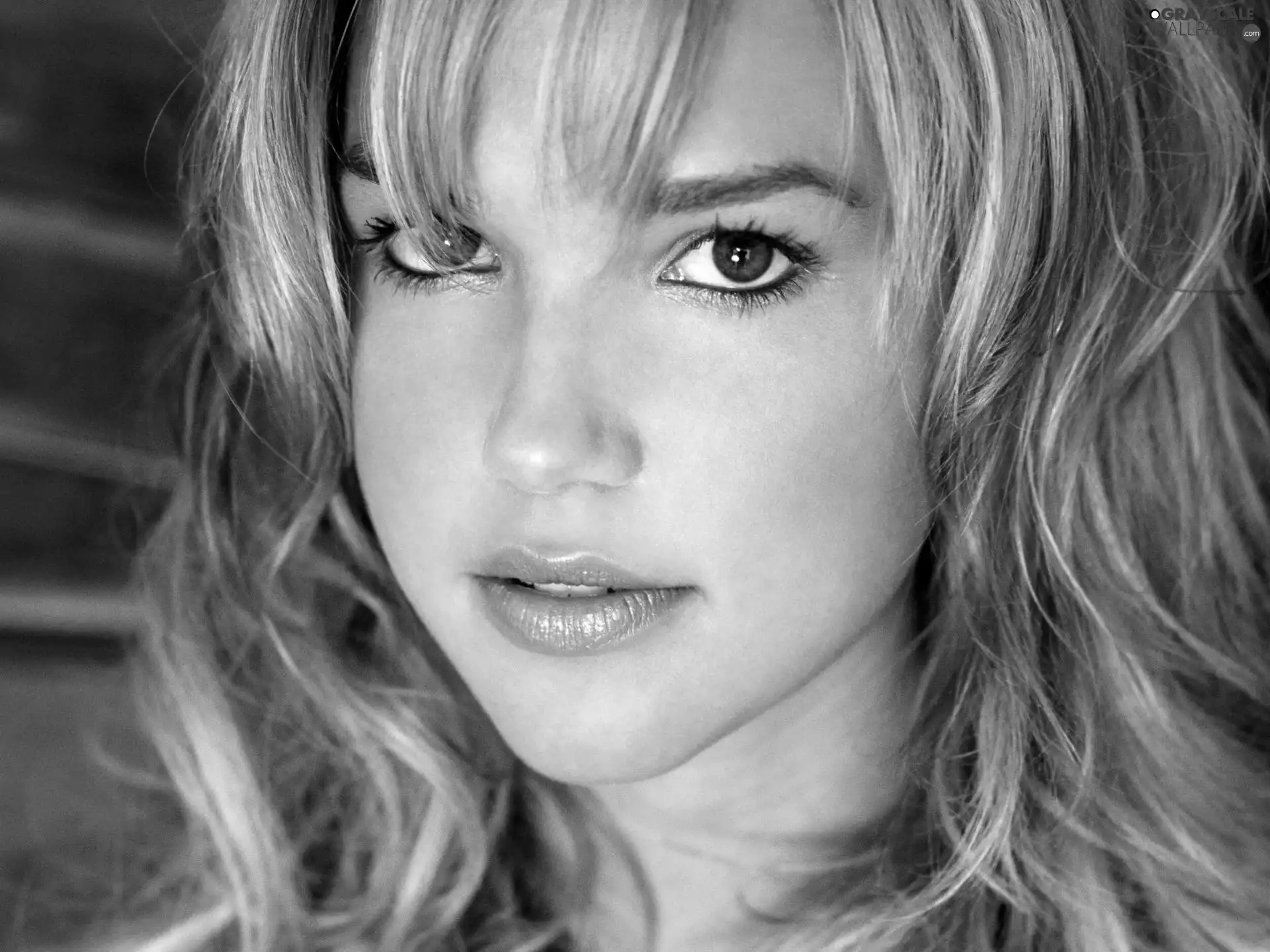 Arielle Kebbel, sensory, The look, face