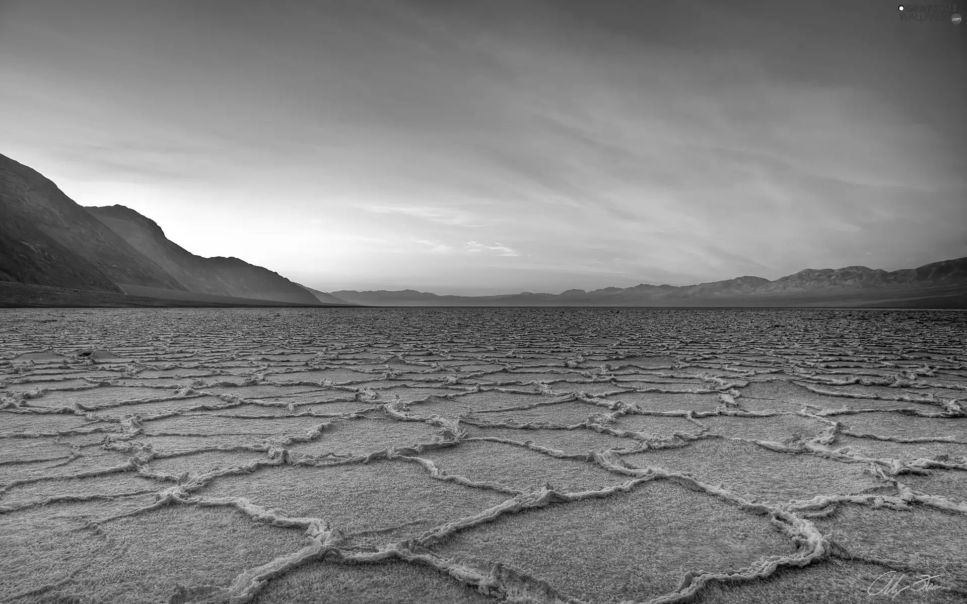 The dried, land