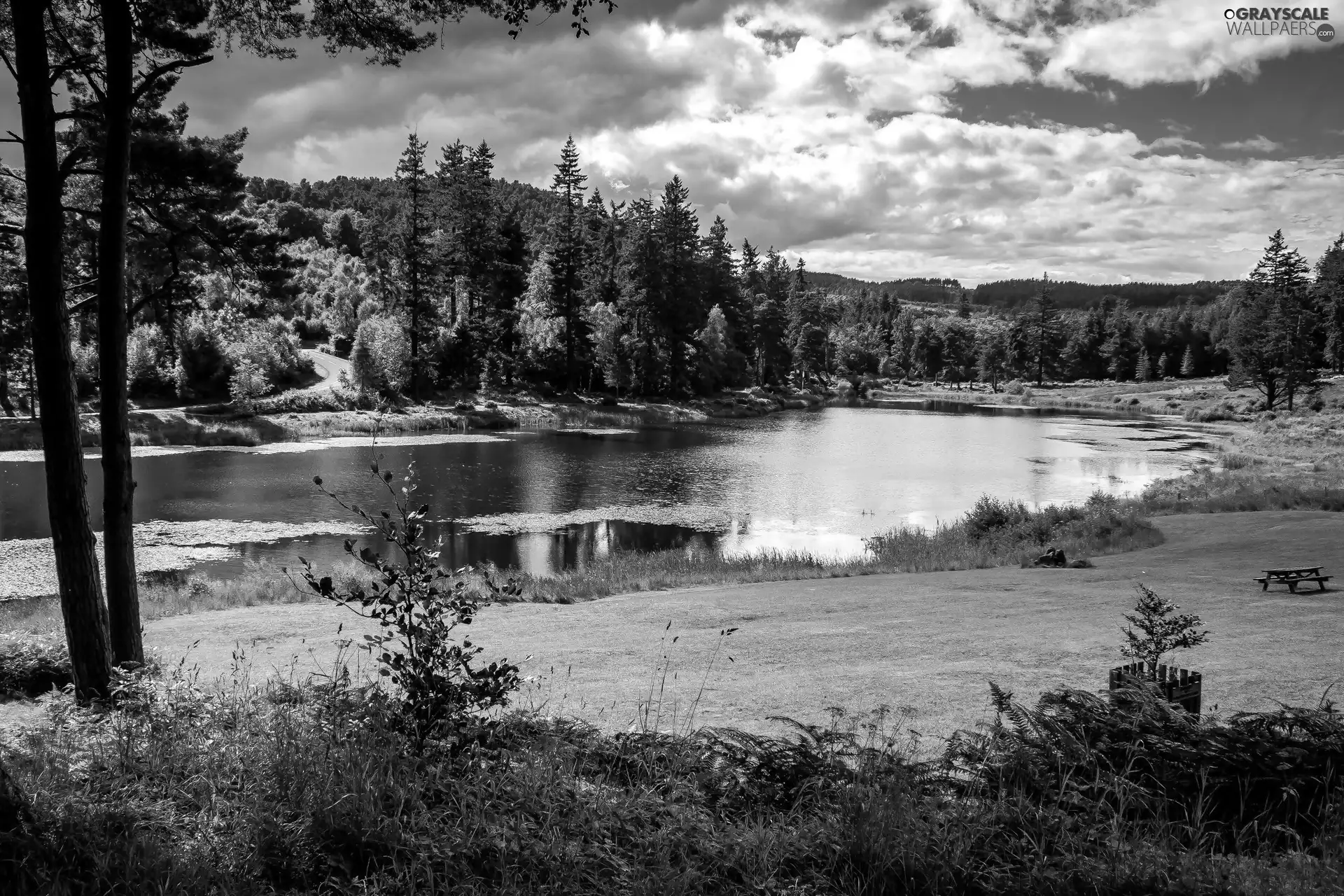 Meadow, River, The Hills