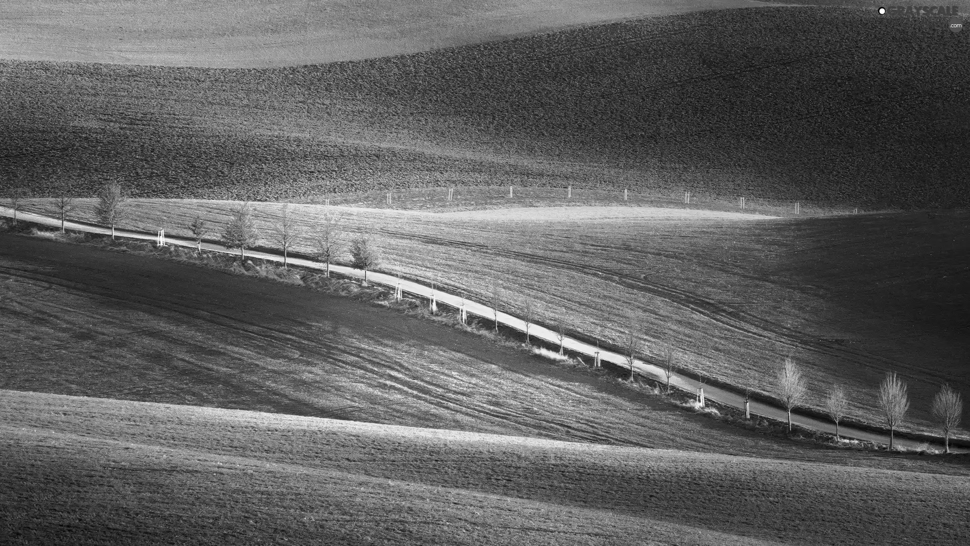 Czech Republic, field, The Hills, Moravia