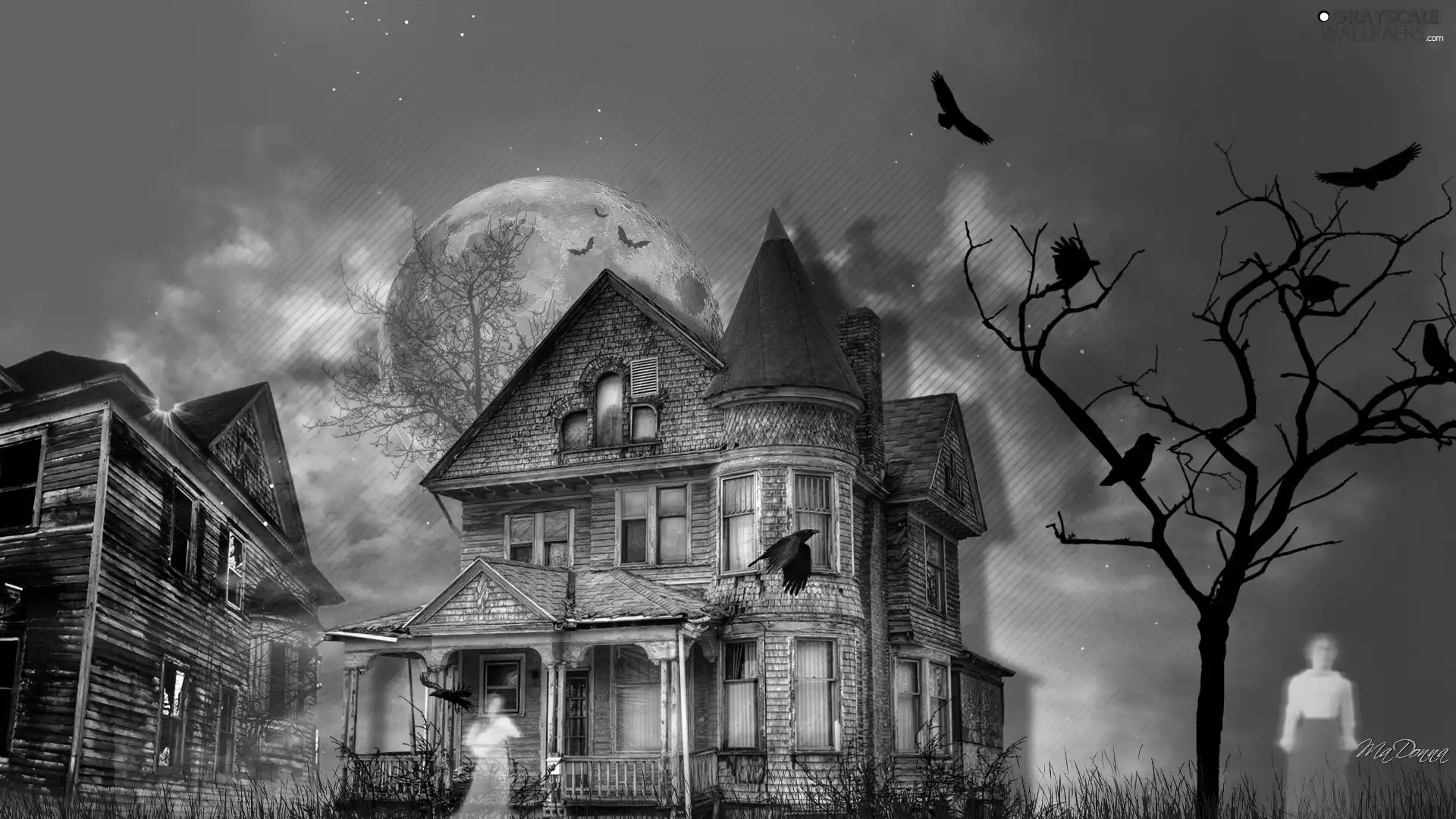 the spirits, Night, trees, birds, Houses