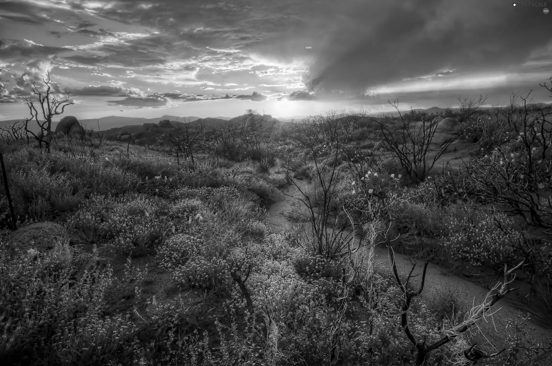 The Hills, Path, clouds, dawn, Sky