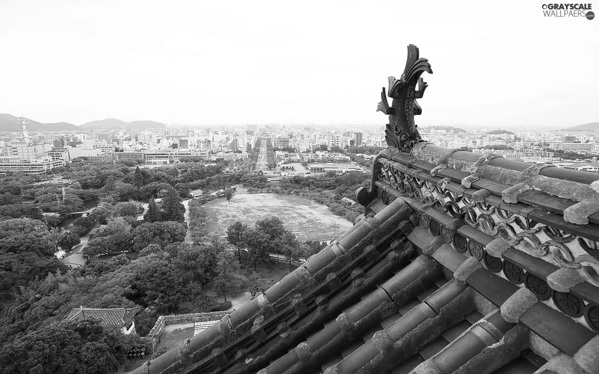 picture, Park, the roof, town