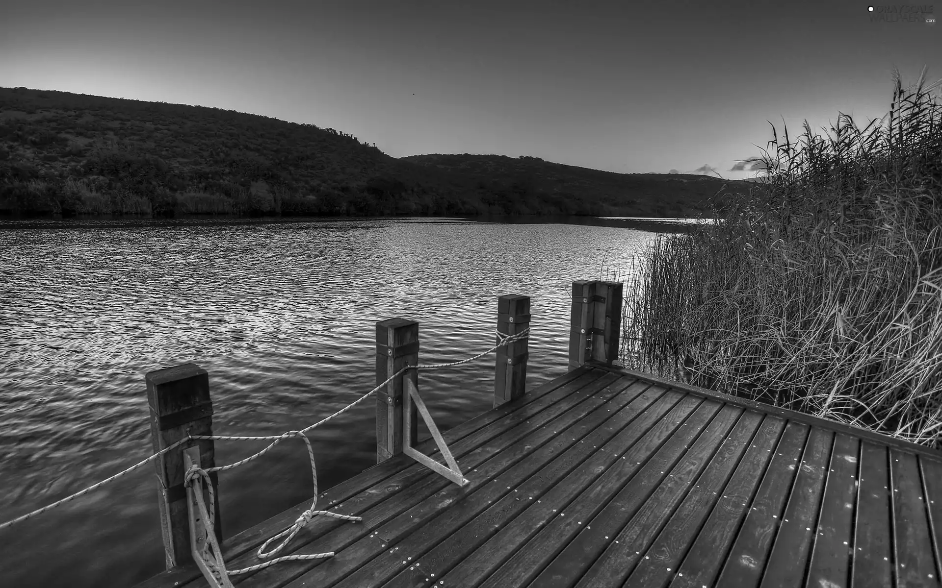 River, Platform, The Hills, rushes