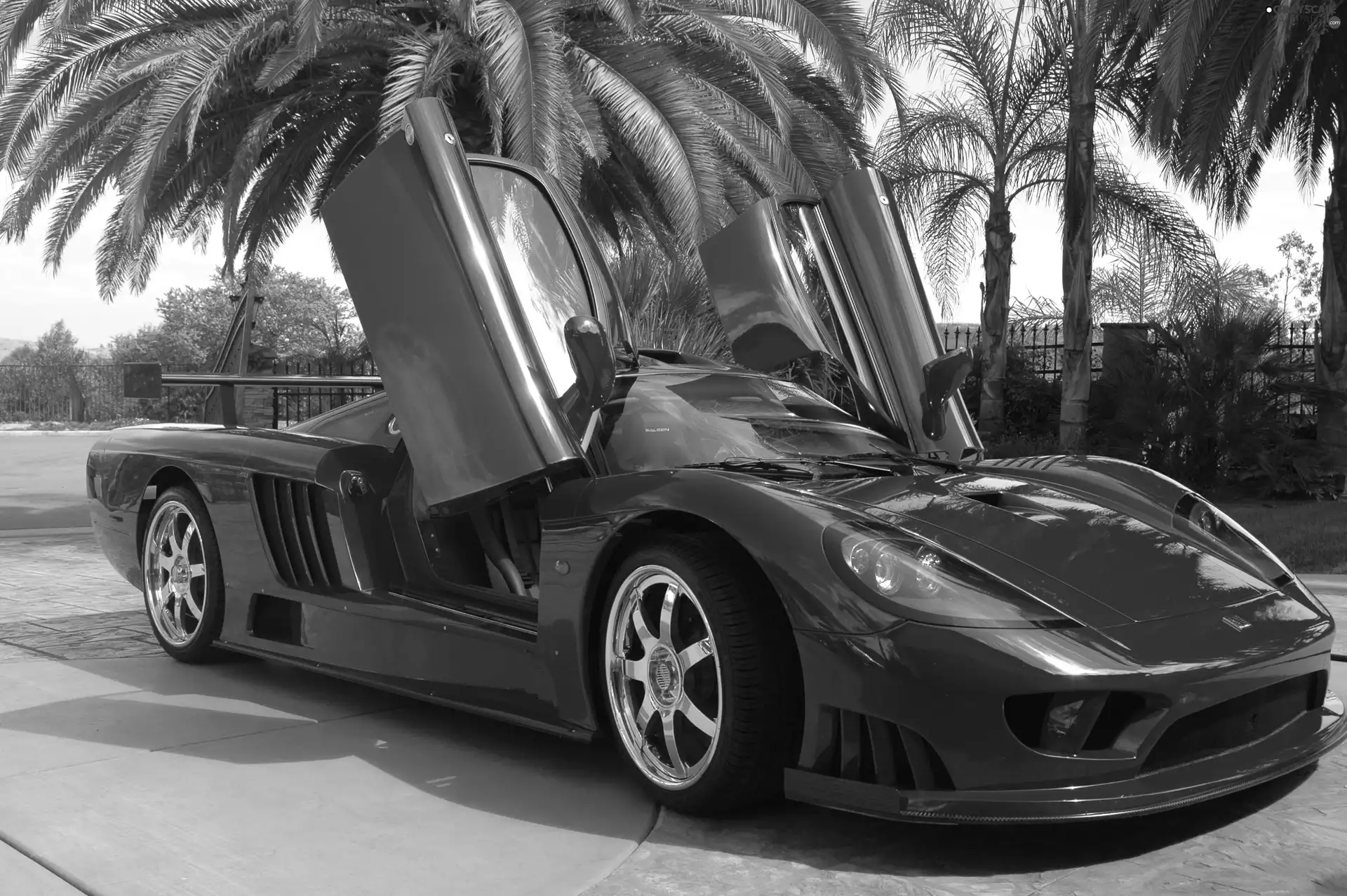 Doors, Saleen S7, The hinged