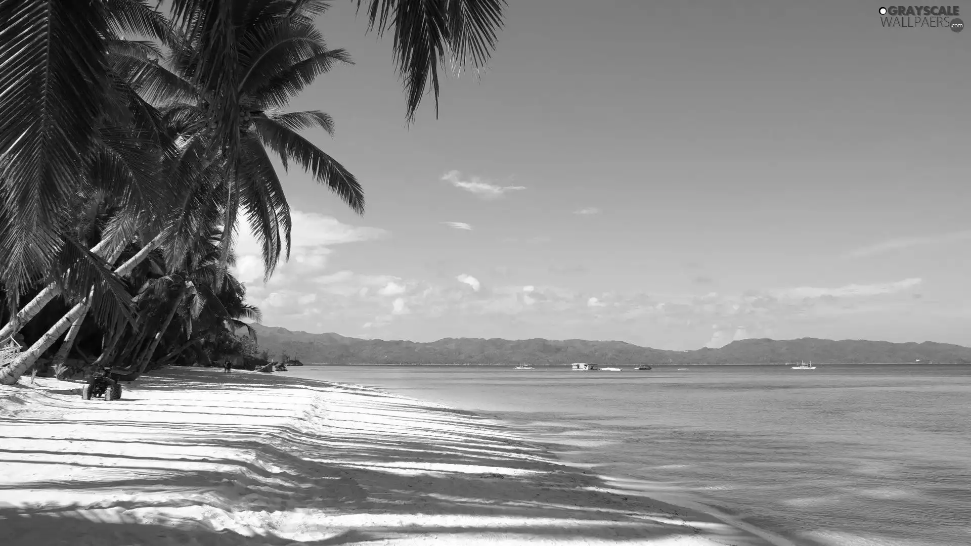 The Hills, Sky, Palm, water, Sand