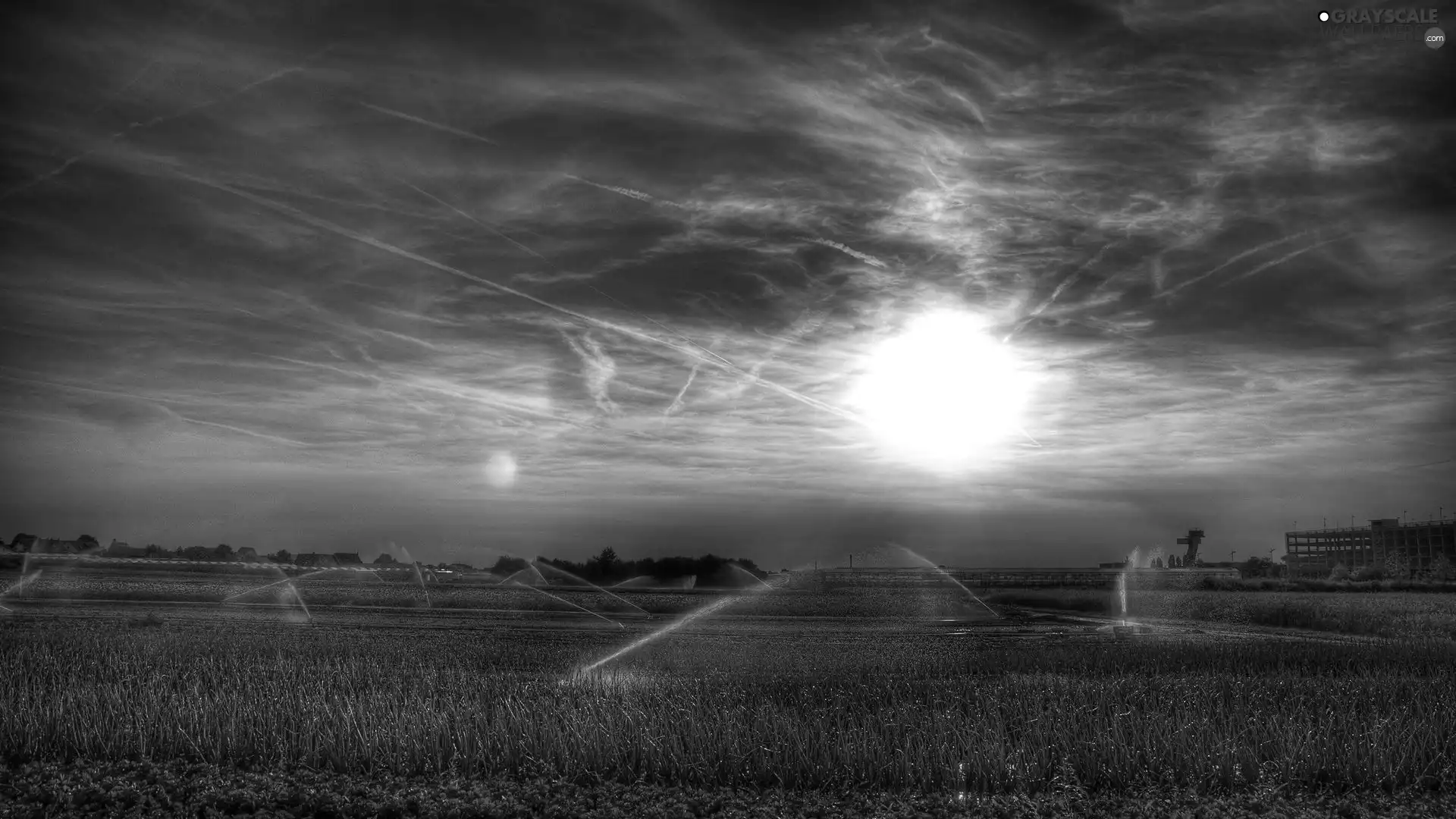 The setting, sun, Sprinkler, Sky, Field