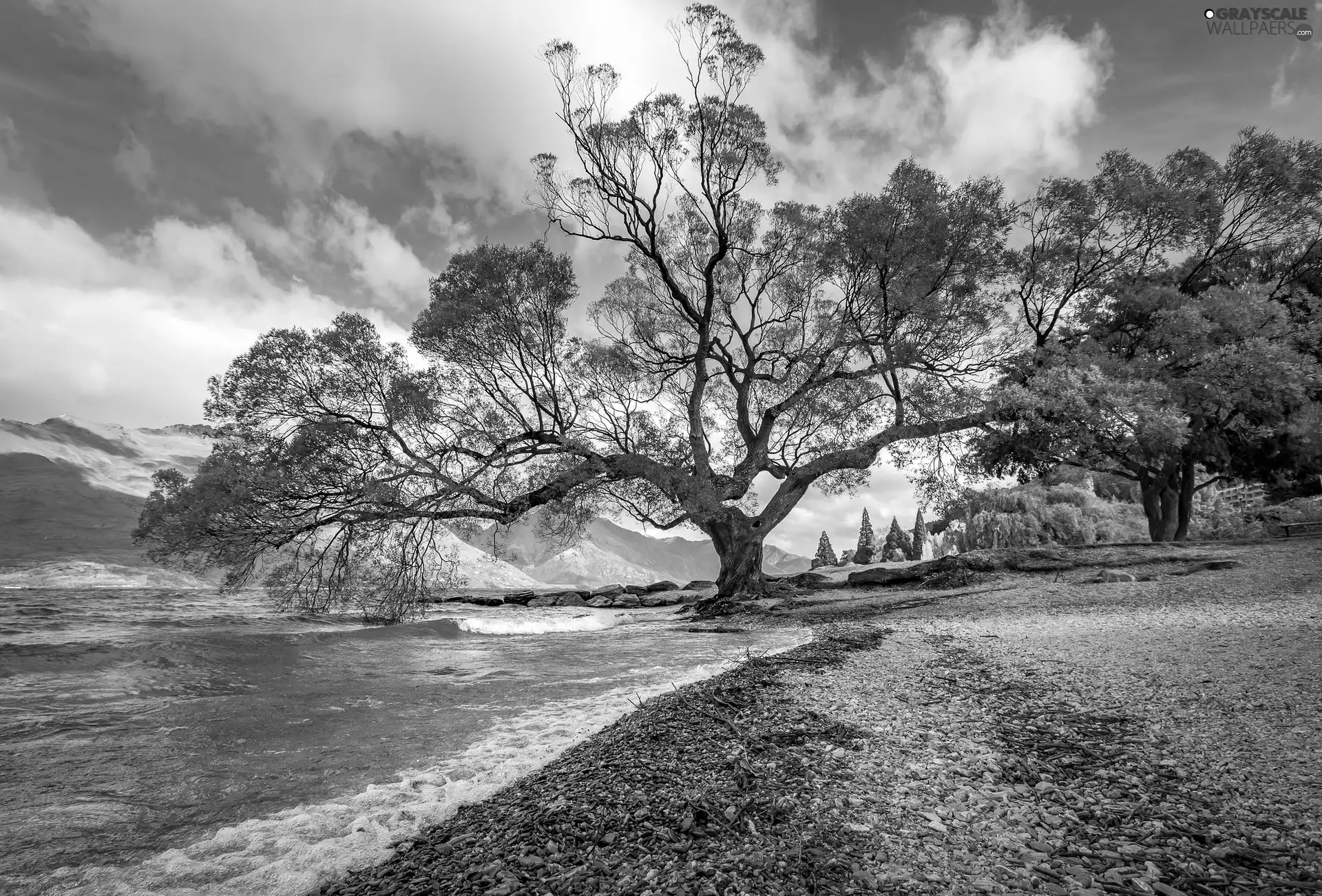 coast, autumn, trees, The Hills, spreading, sea
