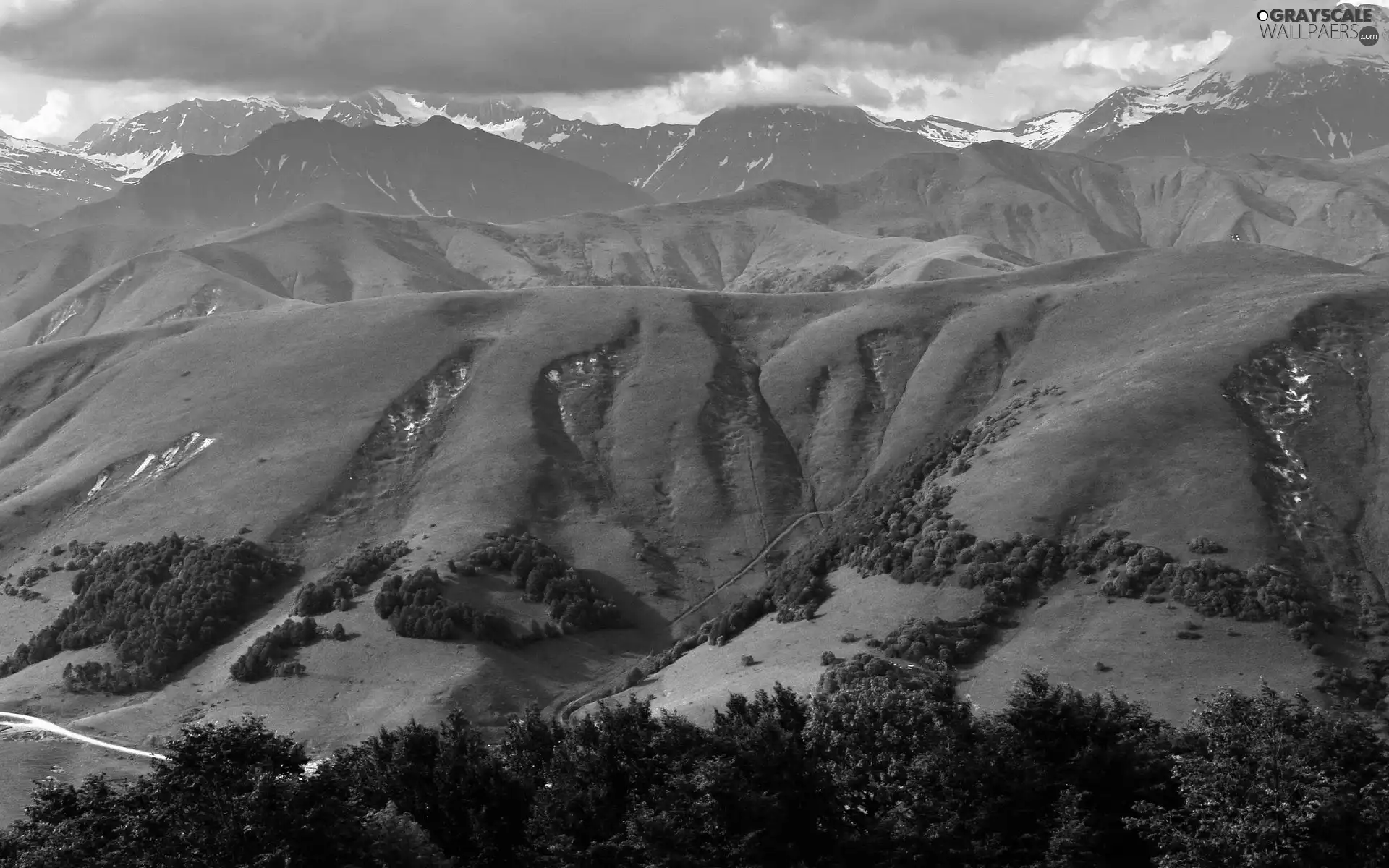 trees, viewes, green ones, The Hills, Mountains