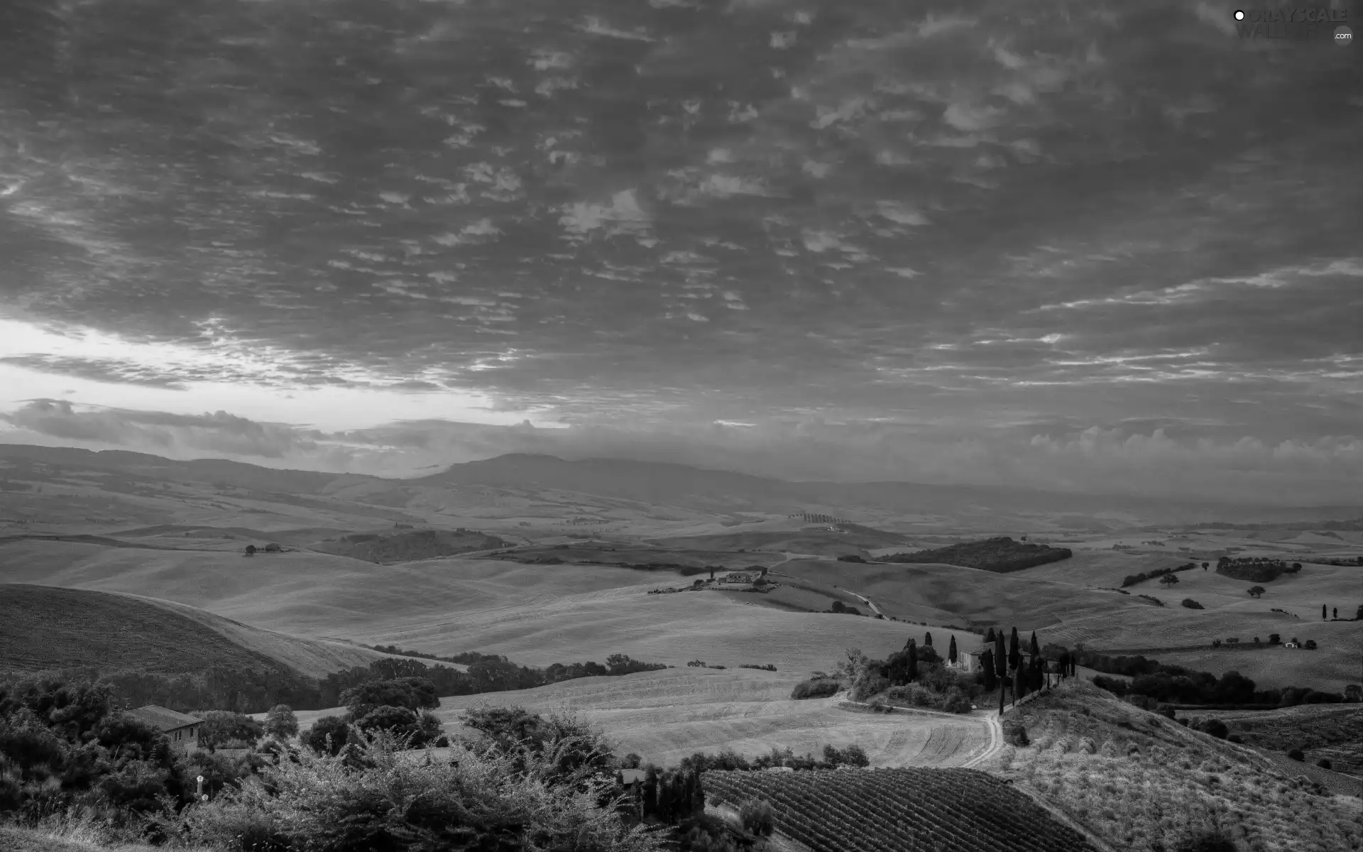 The Hills, Tuscany, sun, field, west