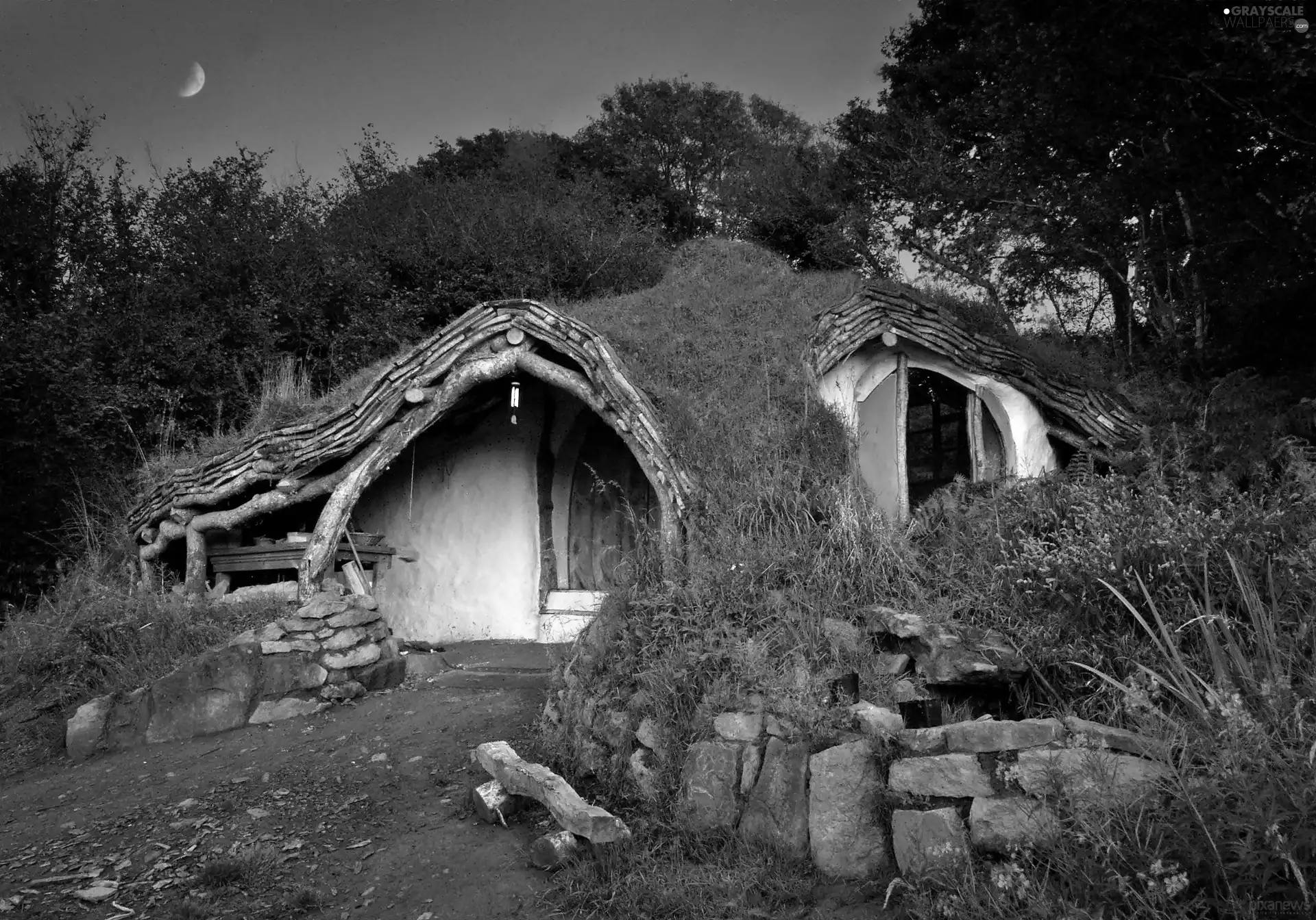 The Hobbit, VEGETATION, moon, Home, Night