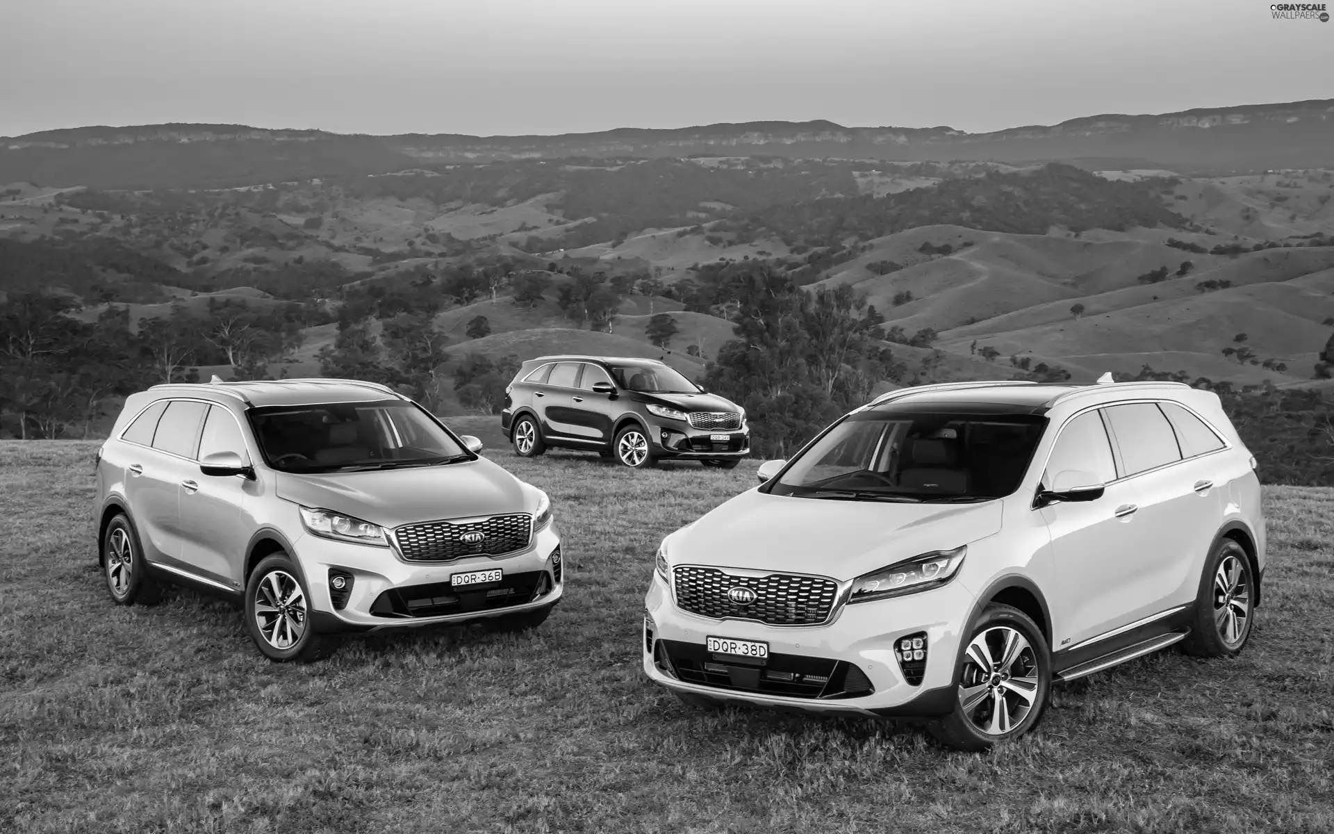 Three, Kia Sorento