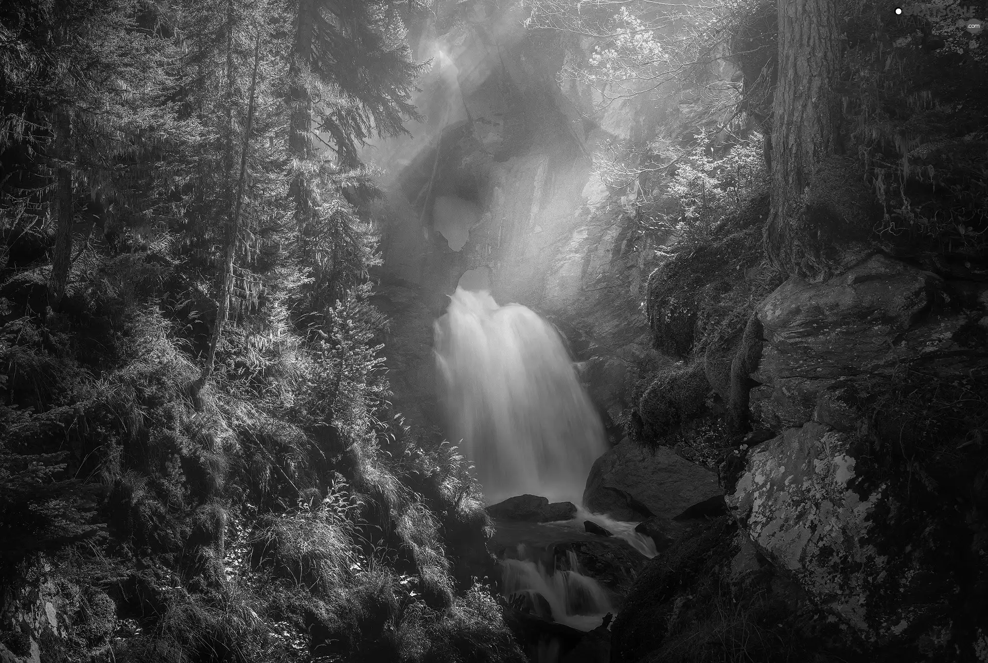 viewes, rocks, sunny, waterfall, light breaking through sky, trees, forest, Plants