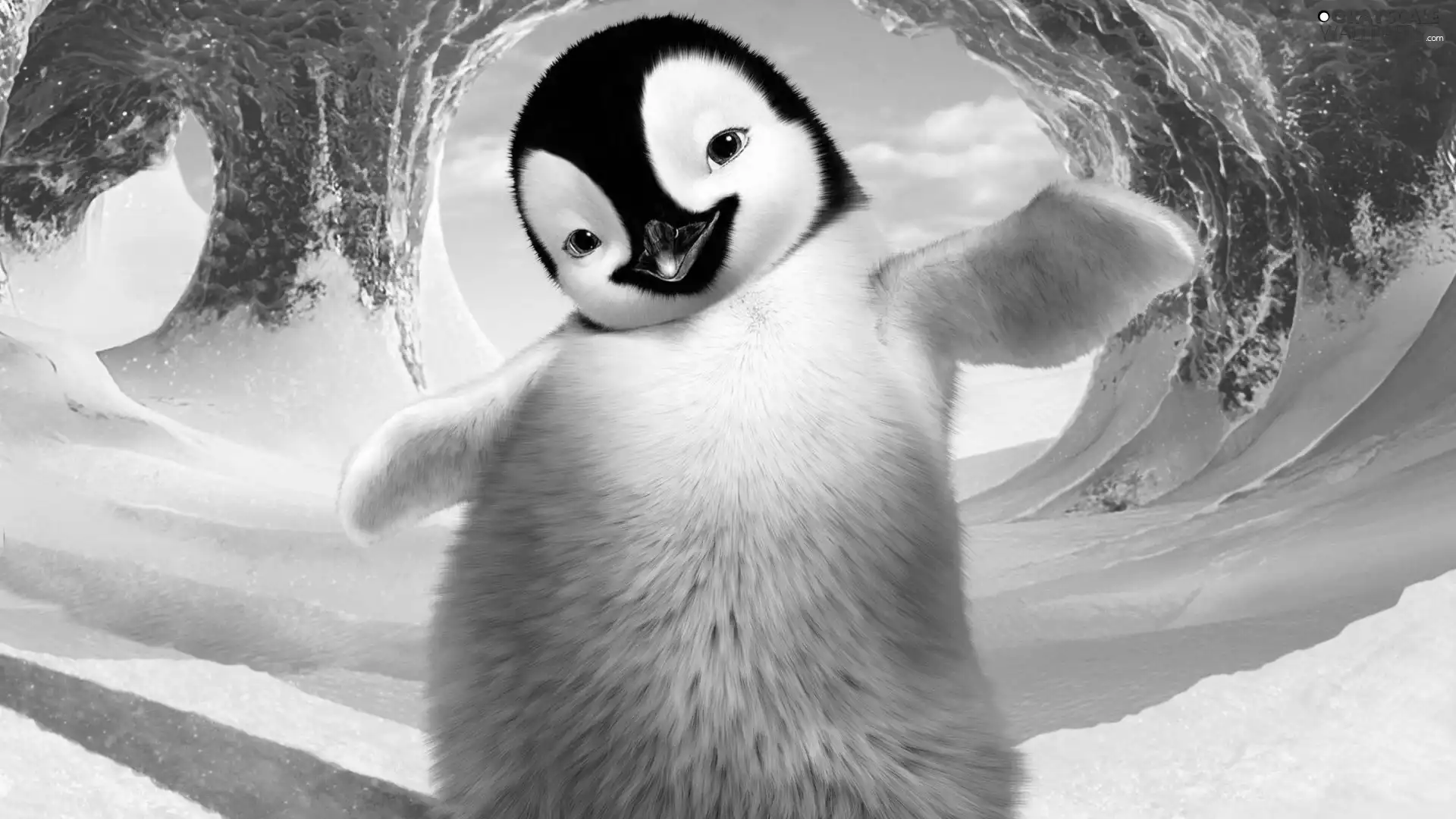 penguin, Tides