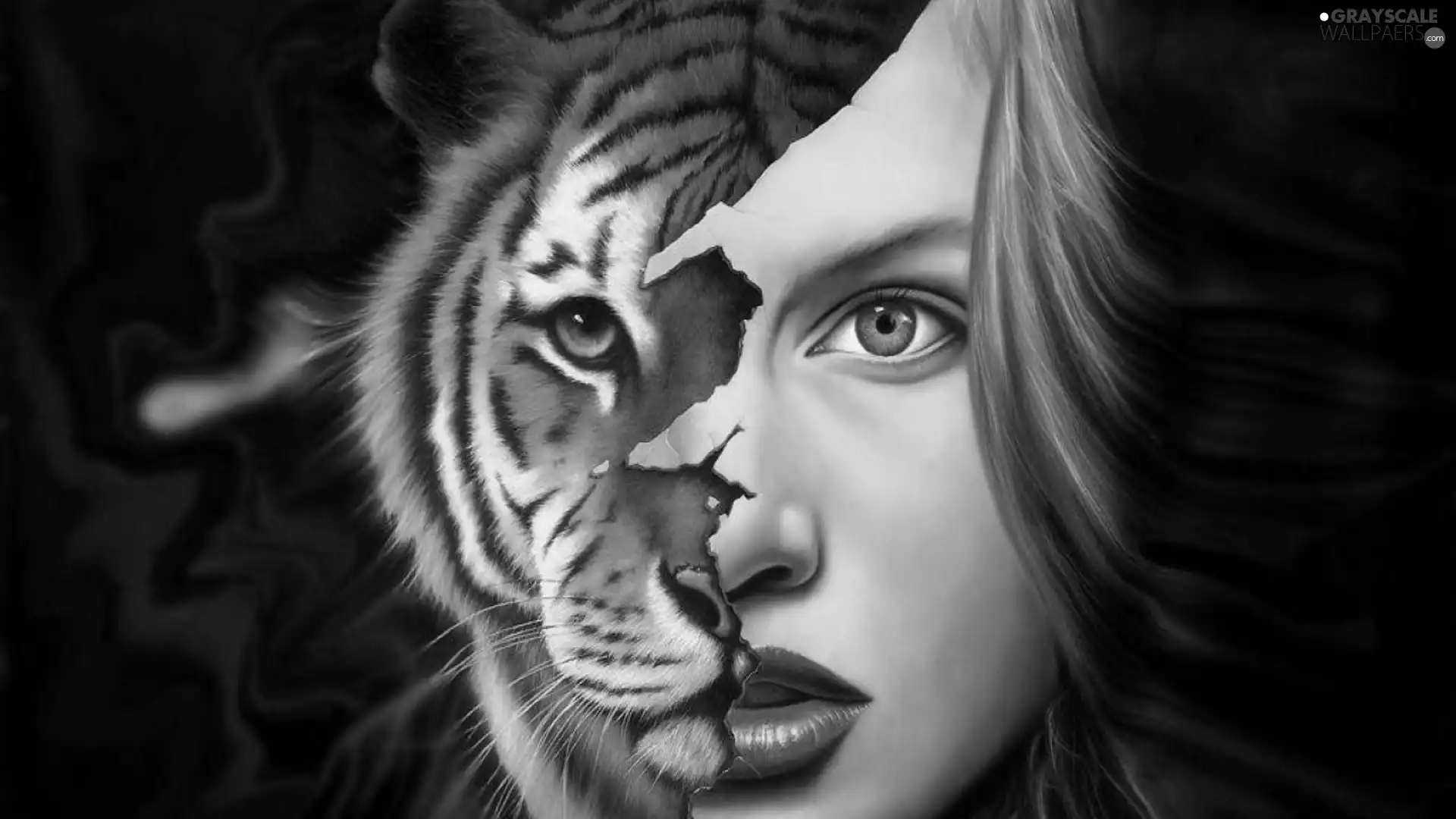 tiger, face, Womens