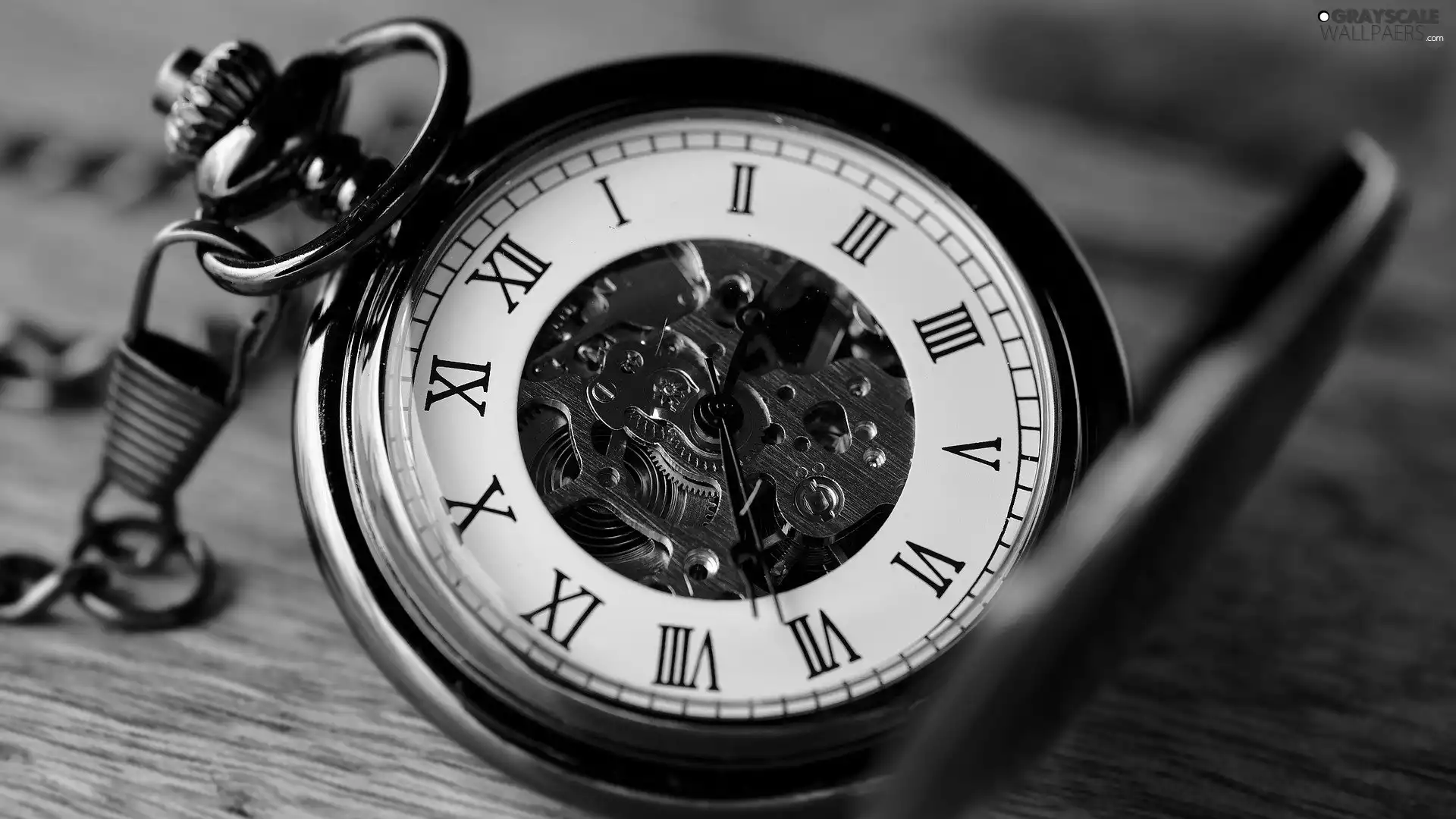 time, Watch, pocket