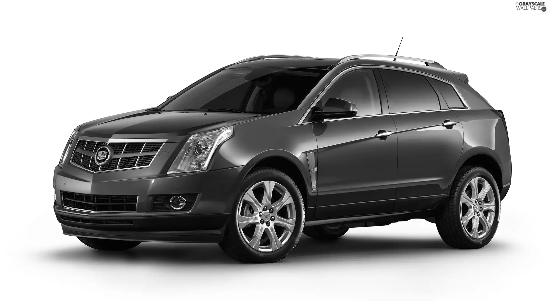 windows, Cadillac SRX, tinted