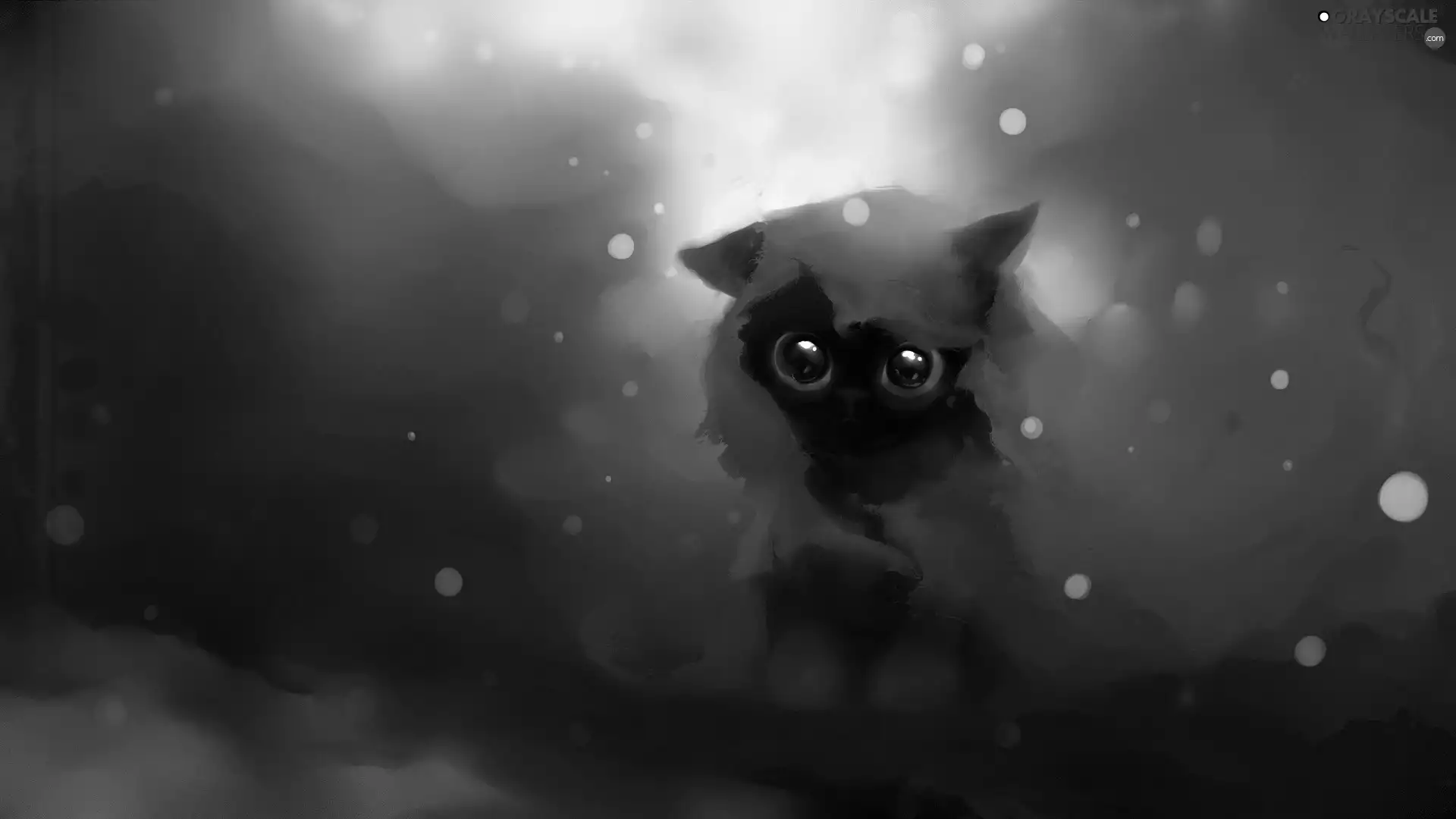 cat, tippet