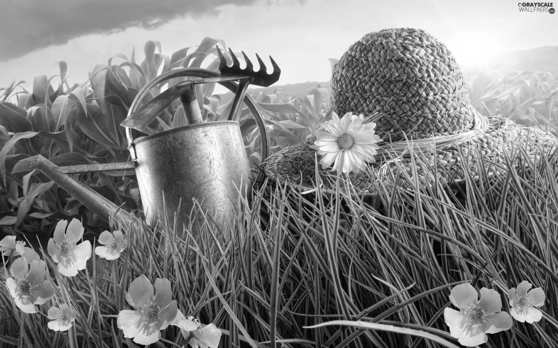 Tools, Supplies, Flowers, Hat, grass
