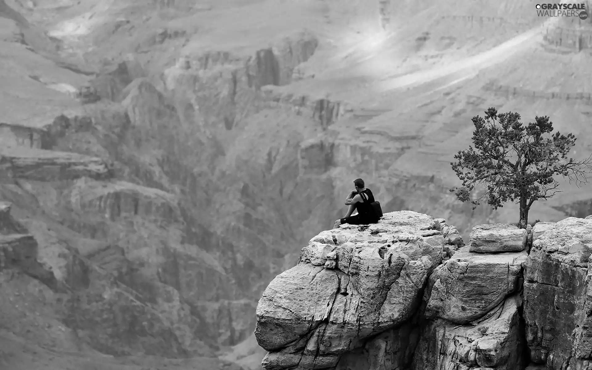 Mountains, trees, tourist, Rocks