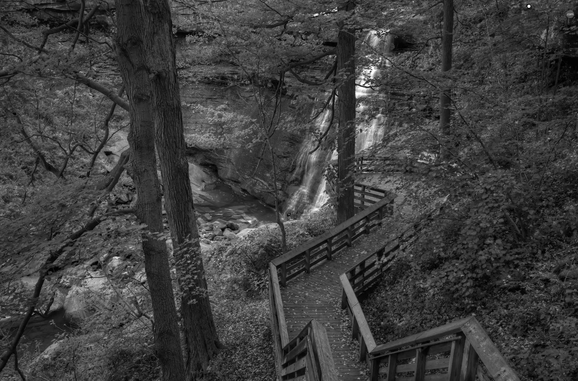 forest, trail, touristic, waterfall