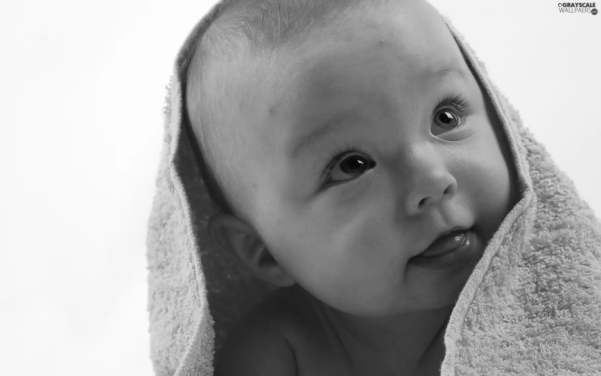 babe, Towel