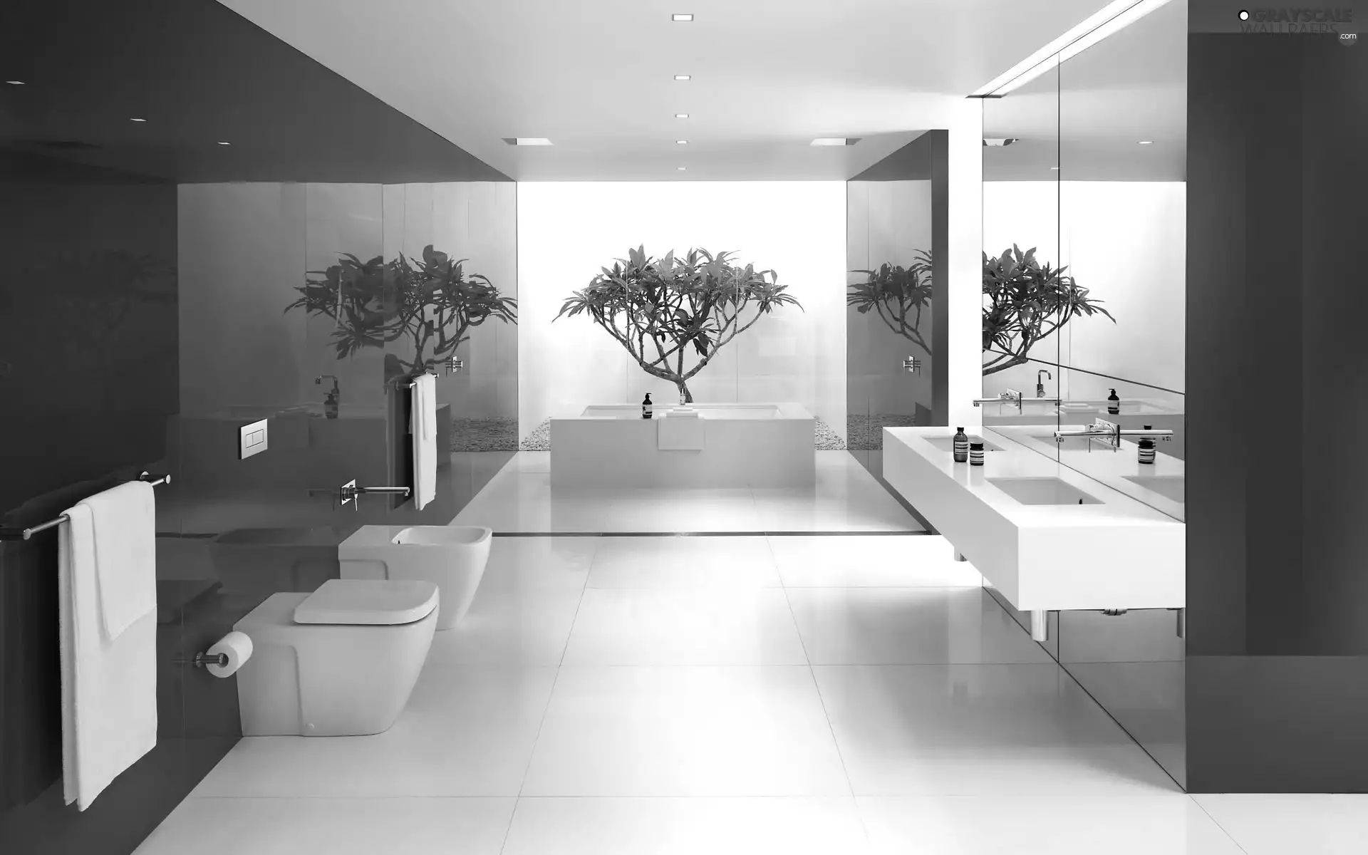 Towel, lighting, red hot, sapling, Bathroom