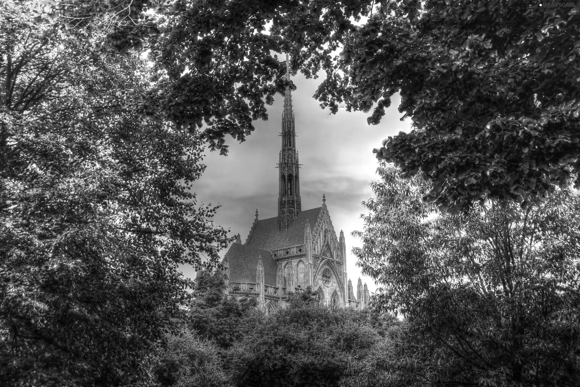Buldings, trees, viewes, tower