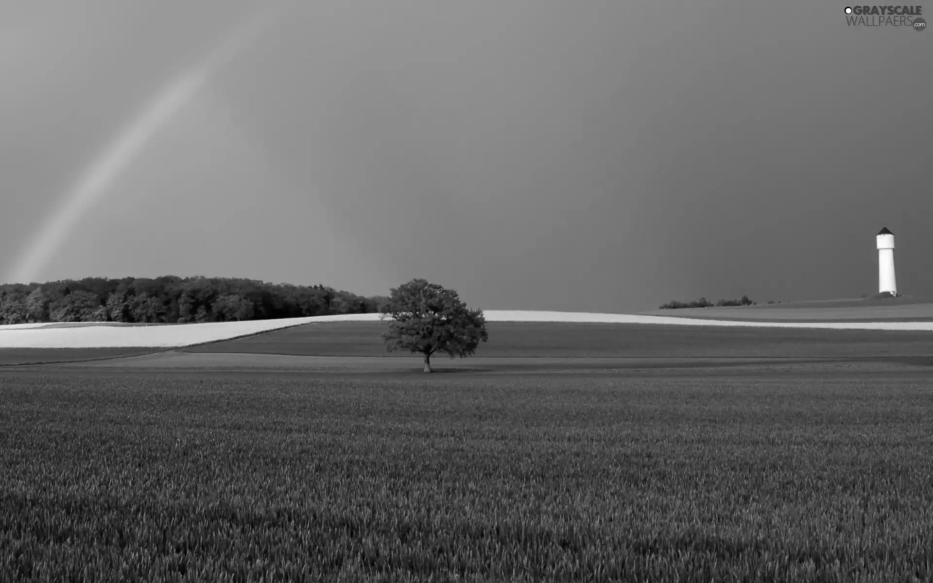 field, trees, tower, Great Rainbows