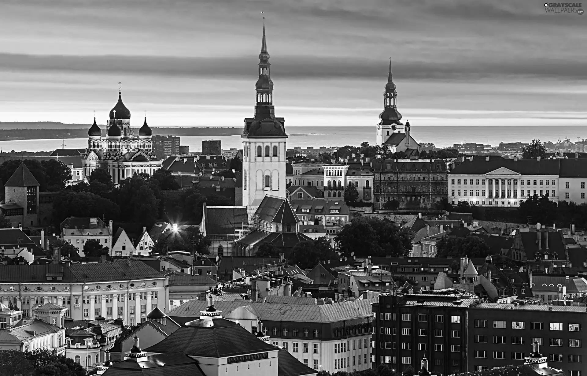 Town, Tallinn, Estonia