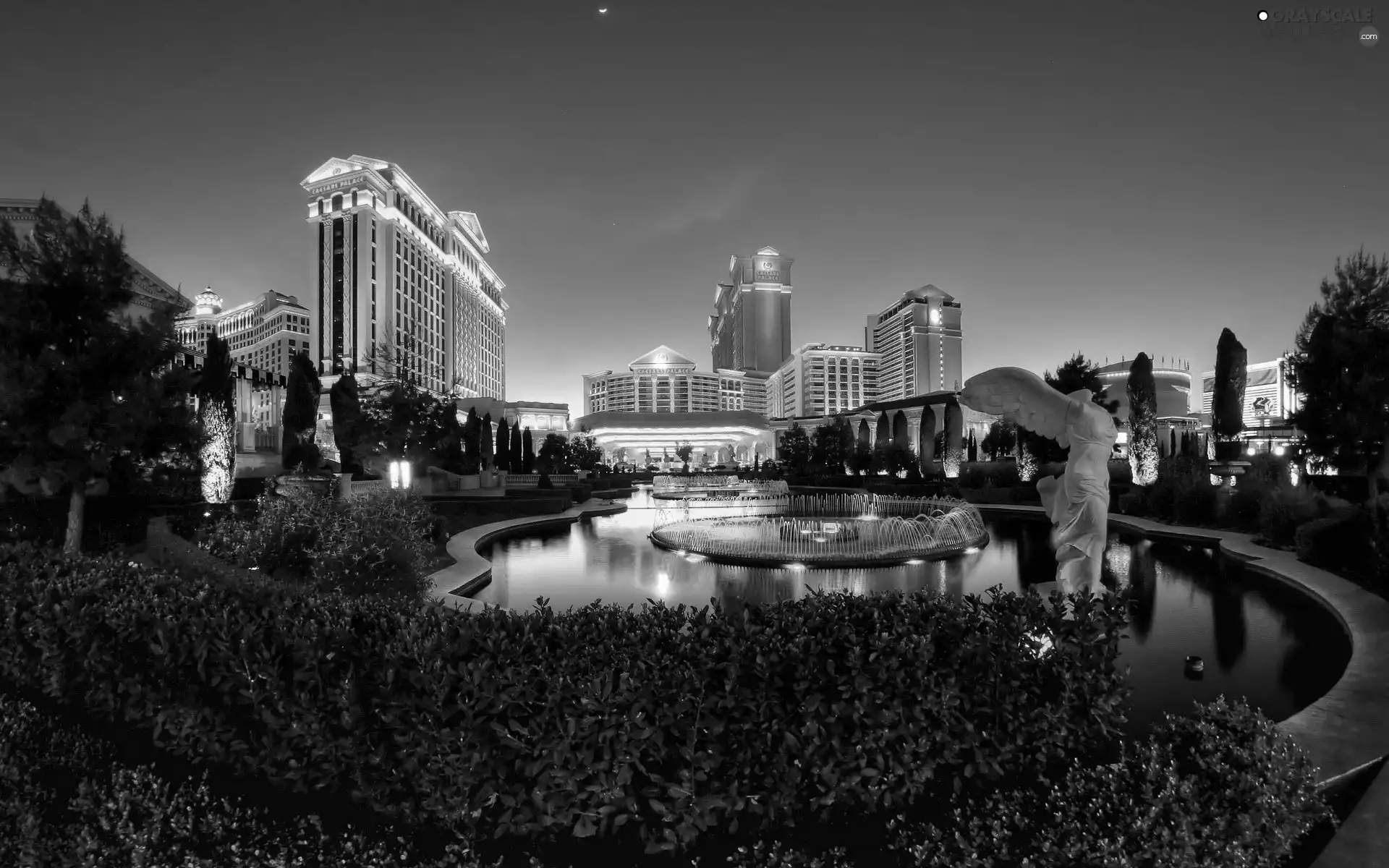 fountain, Las Vegas, Town, Bush