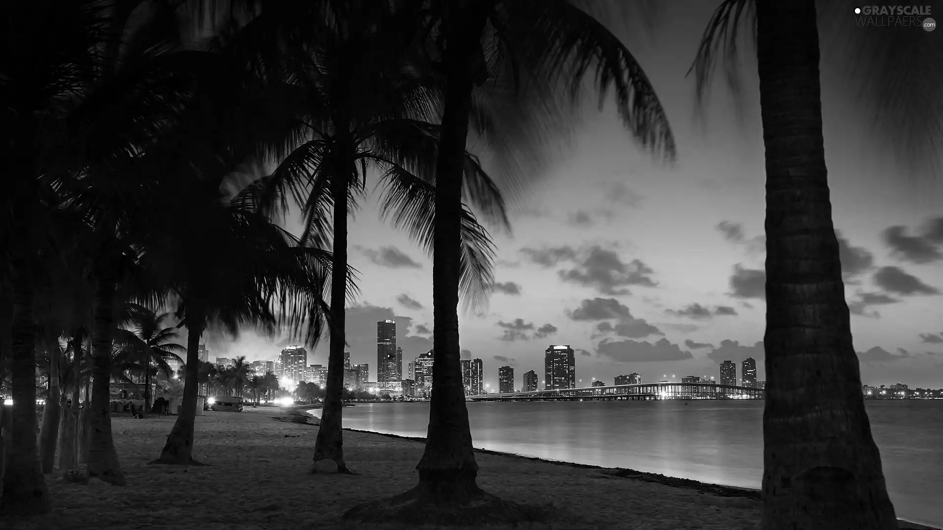 Town, twilight, Coast, Palms, Beaches