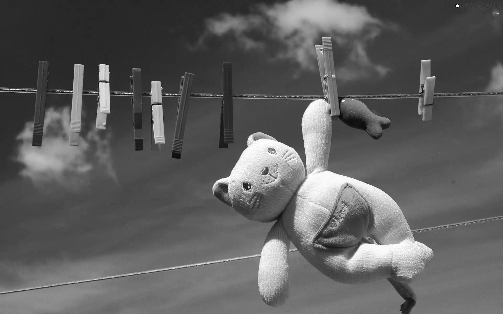 toy, teddy bear, string, Buckles, Sky