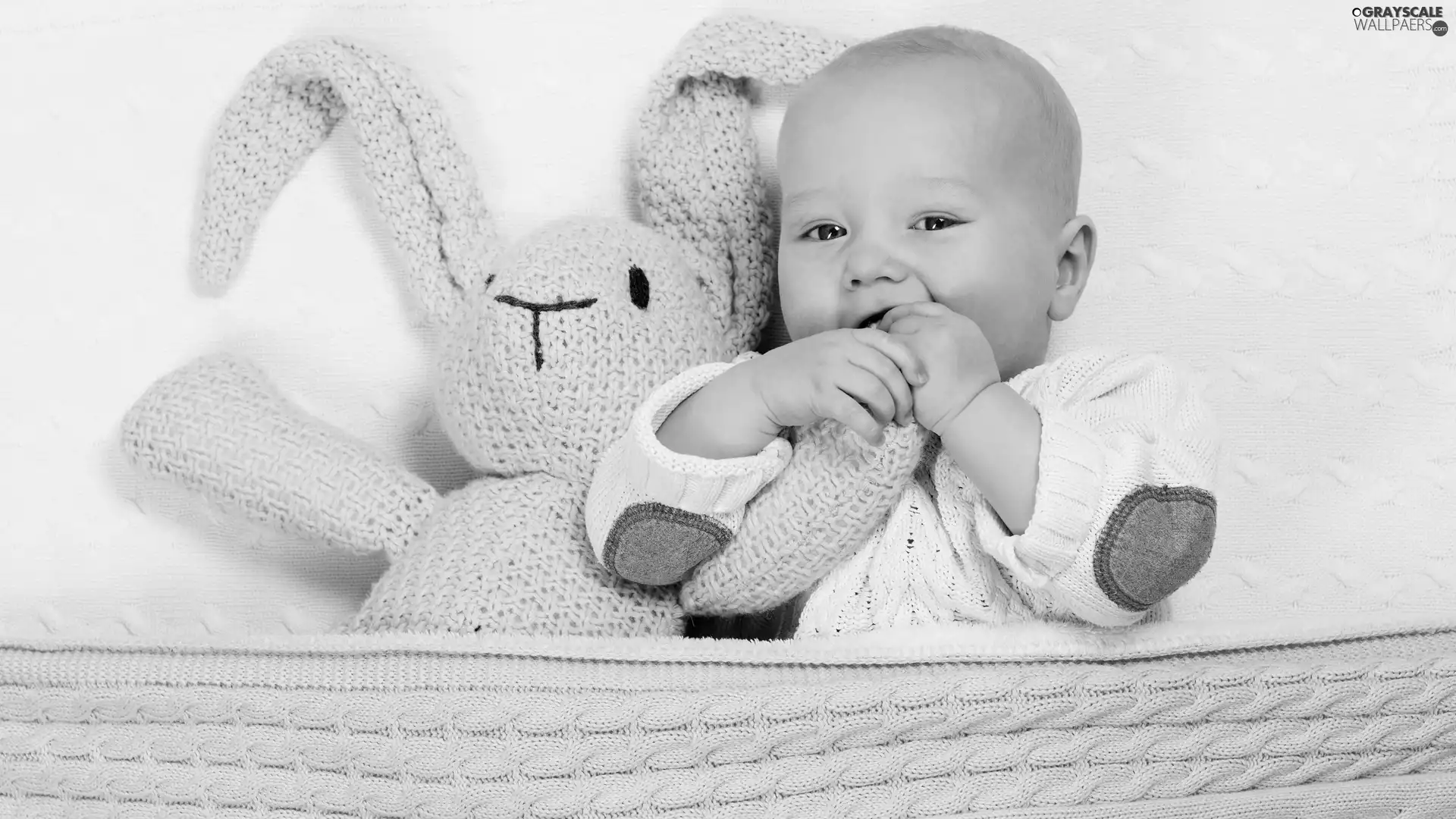toy, Bunny, blue, Blanket, babe