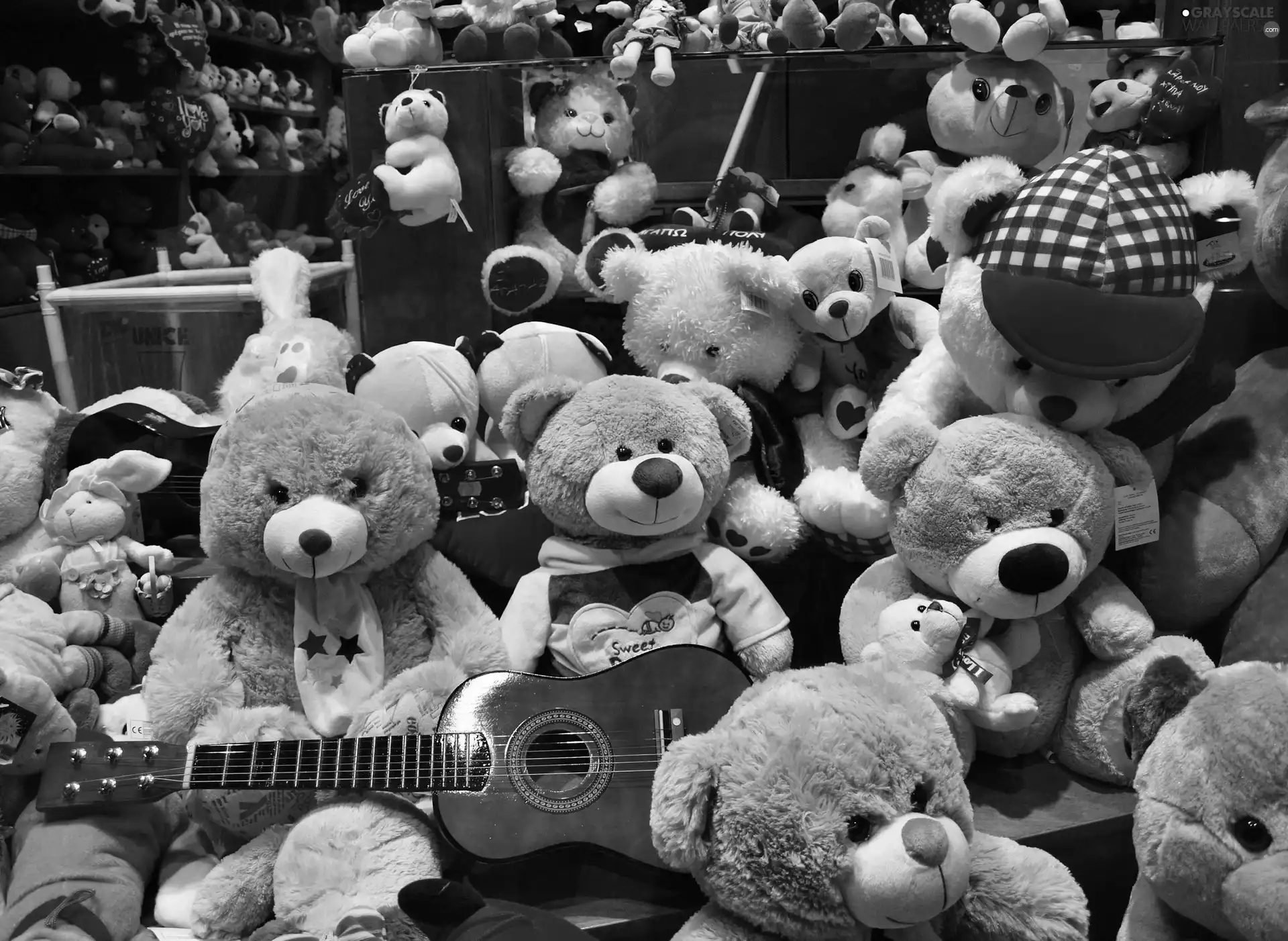 toys, plush, bear
