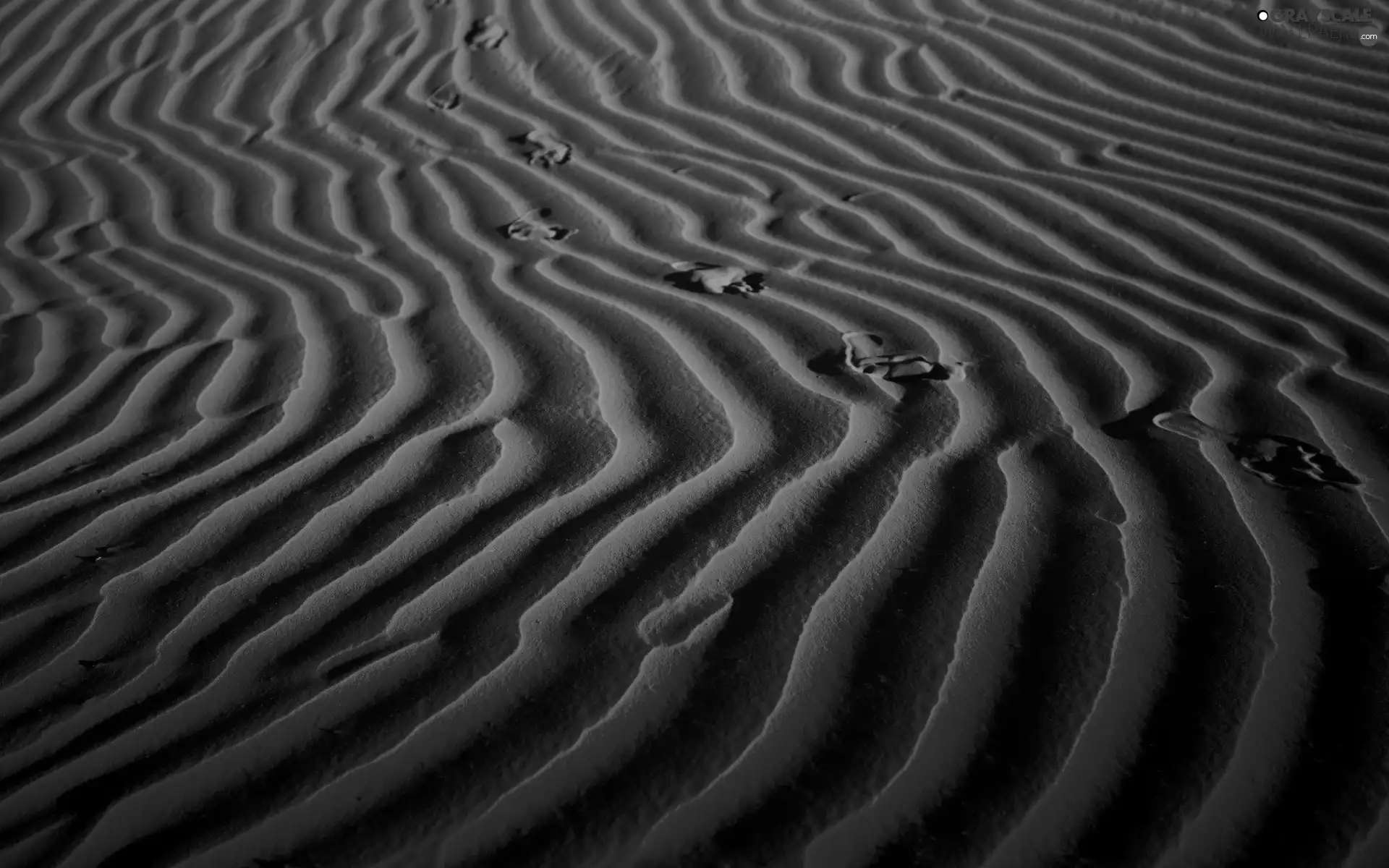 traces, Sand, desert