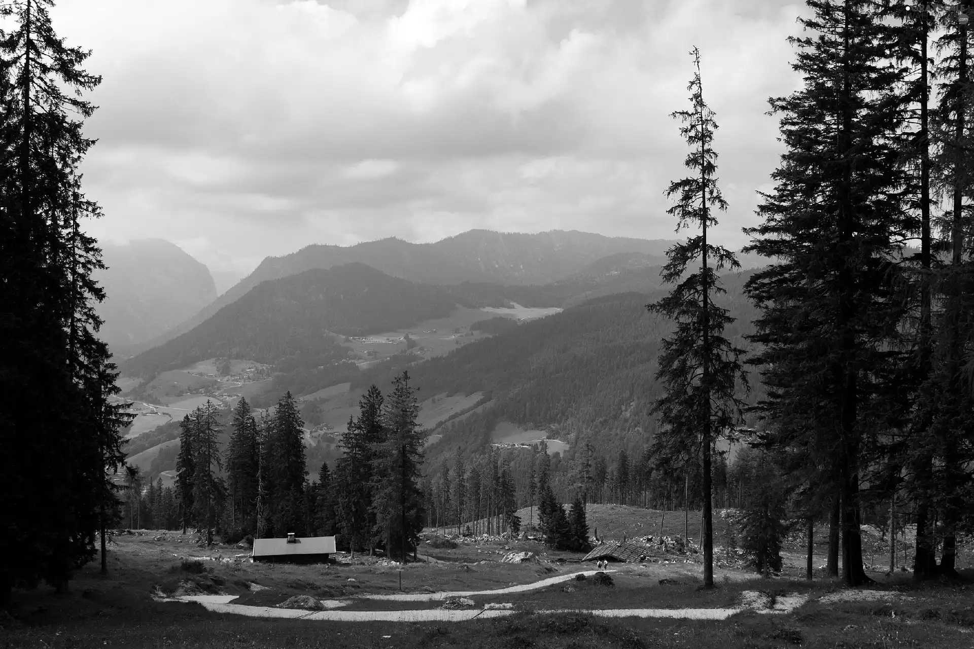 Glade, Mountains, trail, mountainous, Houses, woods