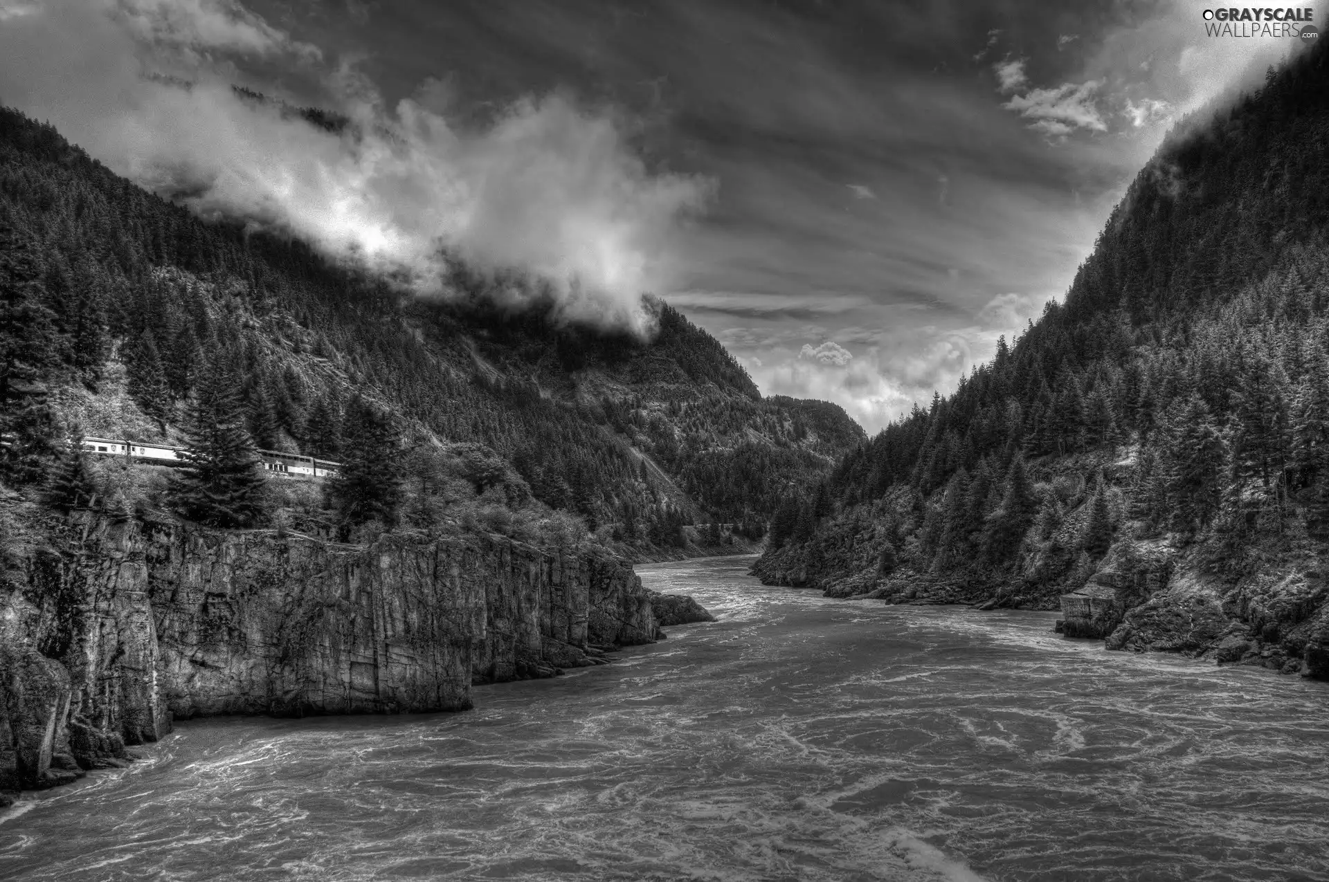 River, woods, Train, Mountains