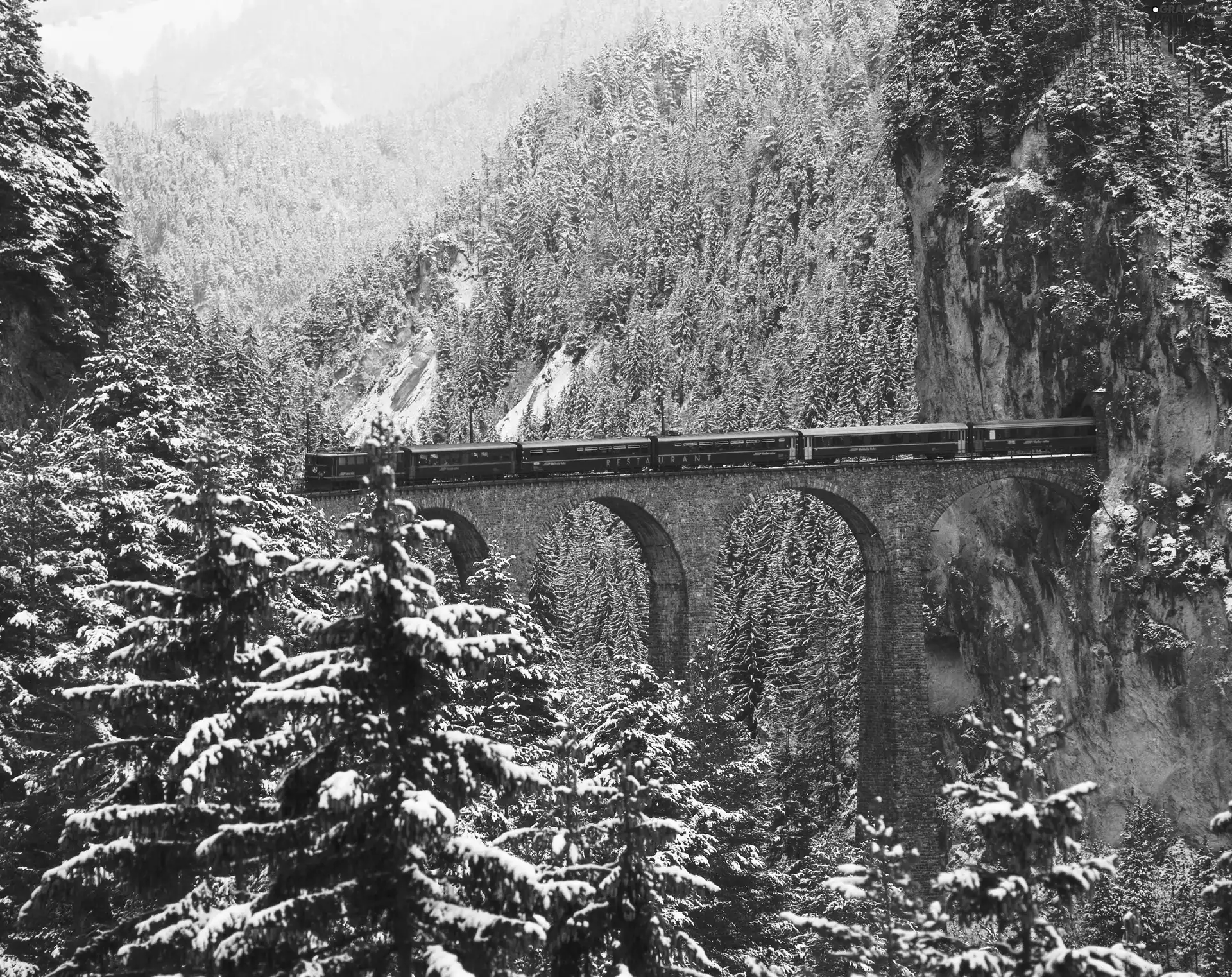 Train, winter, forest, tunnel, Mountains