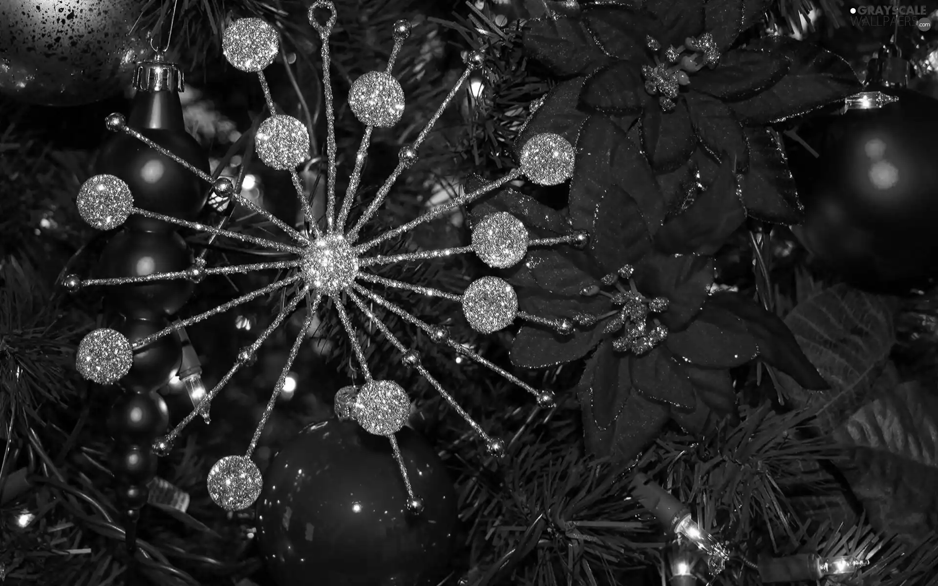 decorated, christmas tree