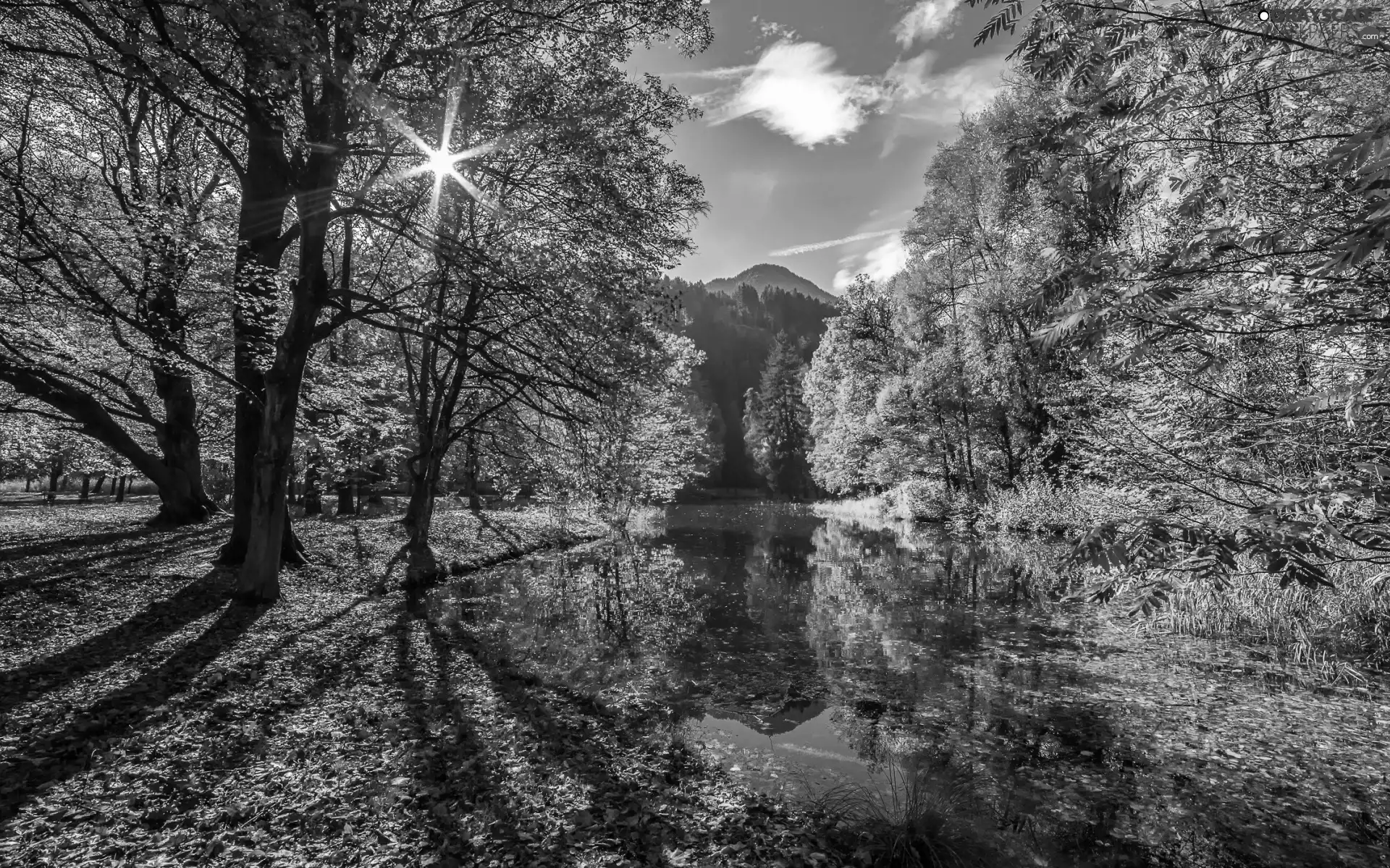 viewes, forest, rays of the Sun, trees, autumn, Mountains, Pond - car