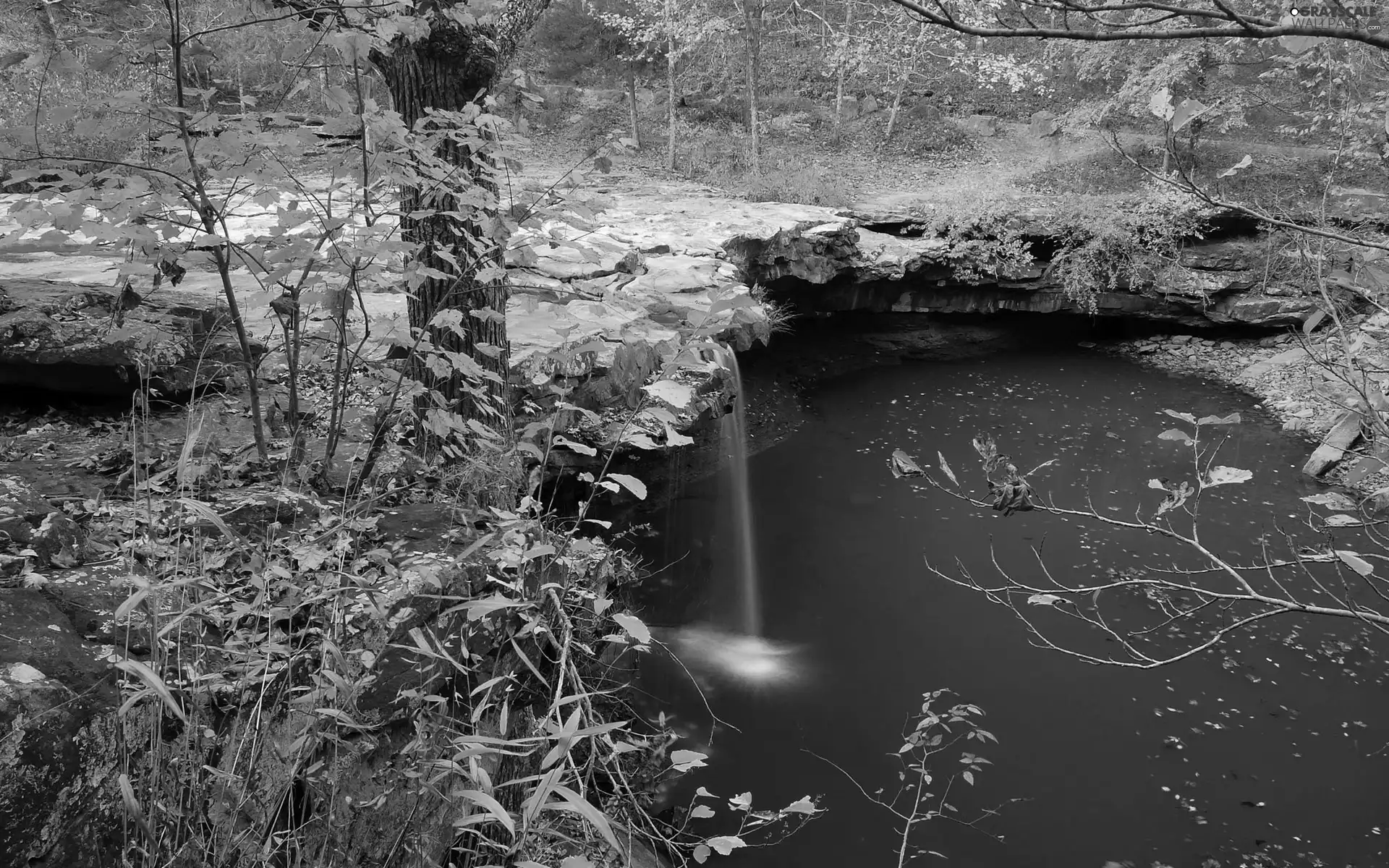 forest, small, viewes, waterfall, brook, trees, autumn