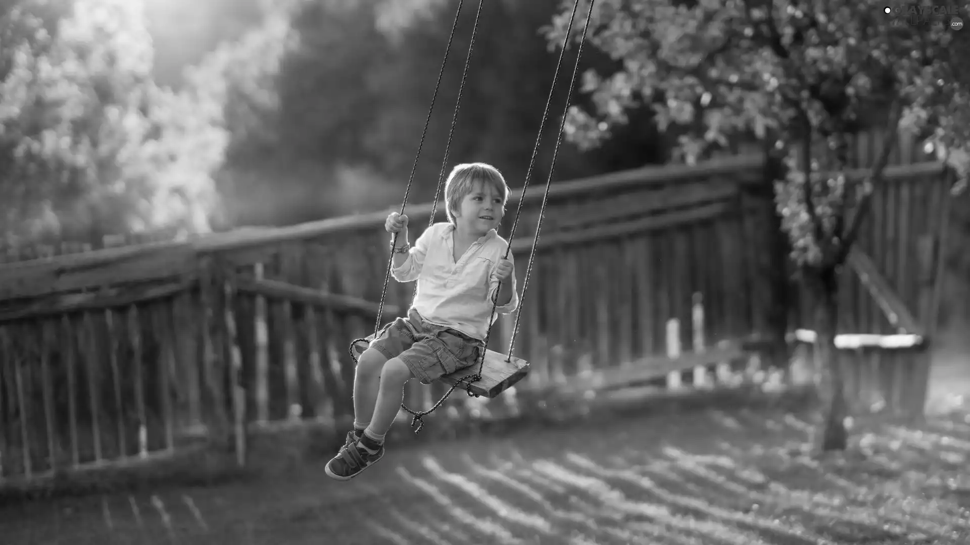 Fance, trees, boy, Swing, Kid