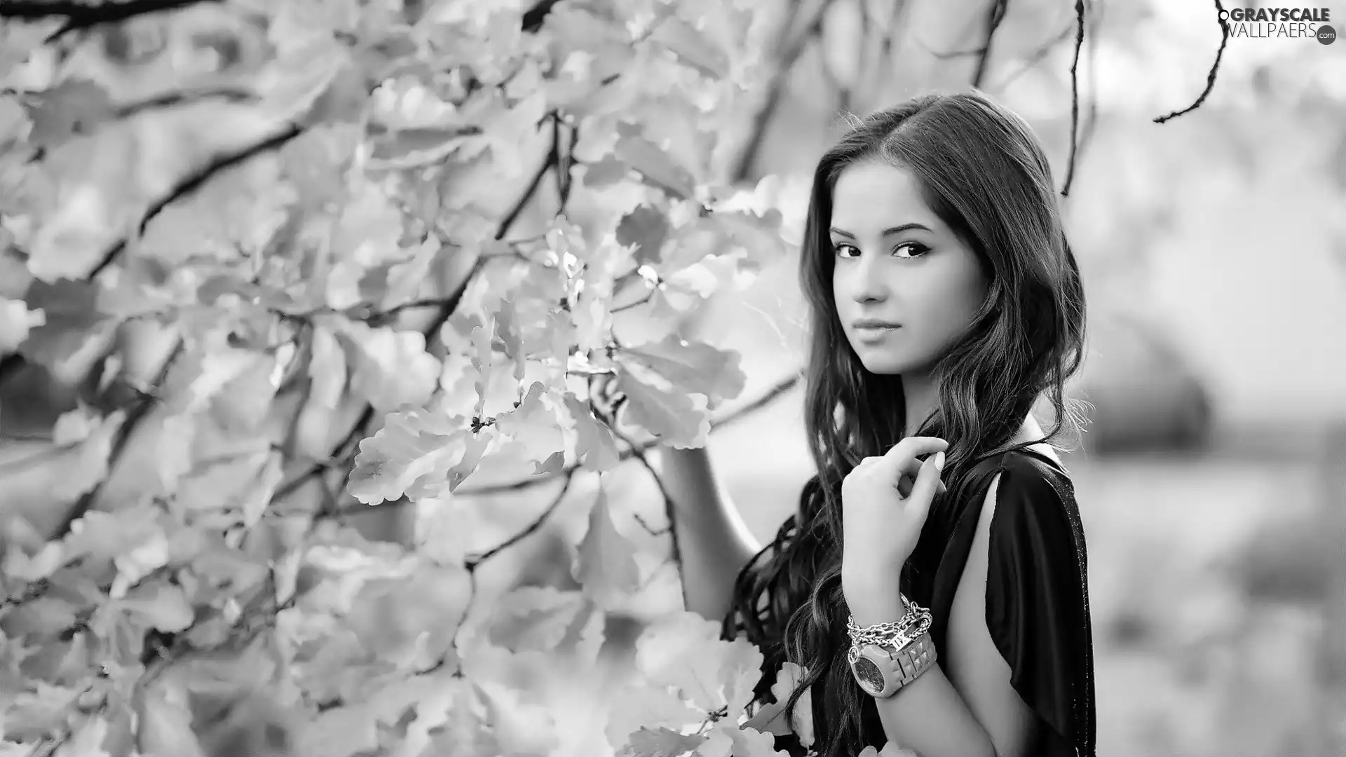 brunette, autumn, trees, wristlet
