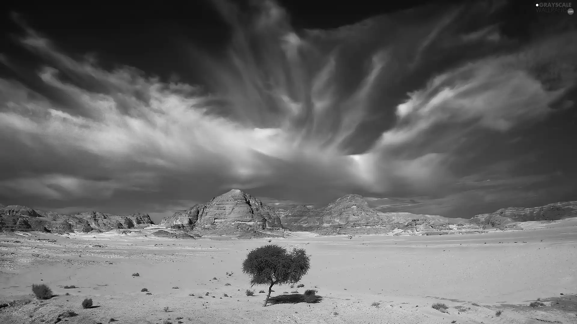 trees, Sky, canyon