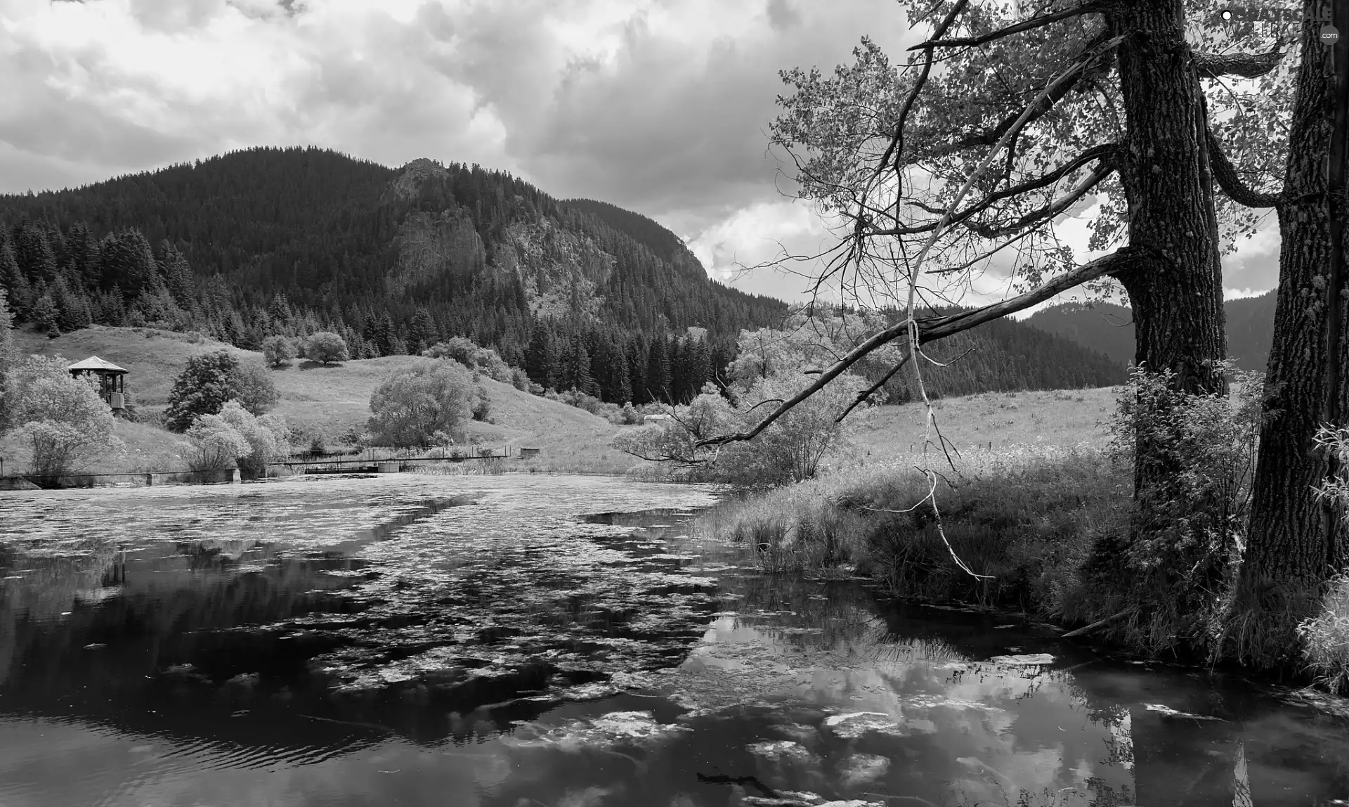 viewes, Mountains, alcove, trees, Pond - car