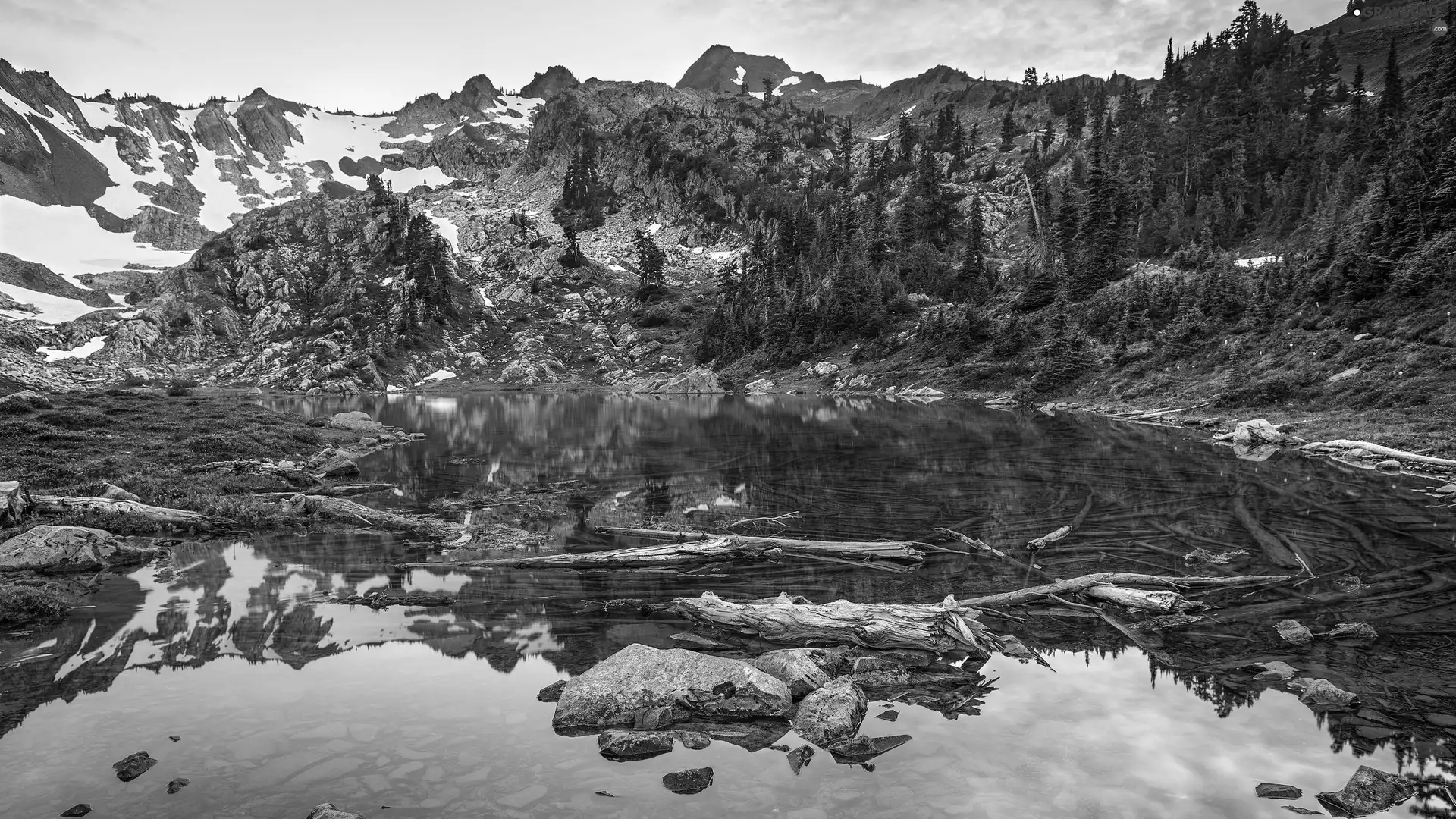 Stones, Pond - car, trees, viewes, Mountains, Logs