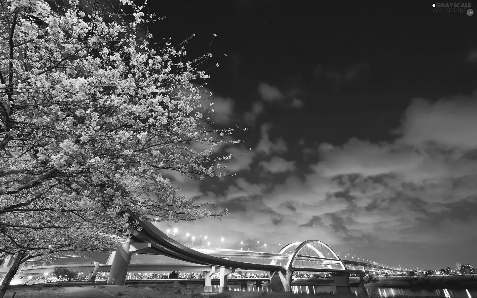 trees, clouds, River, flourishing, bridge