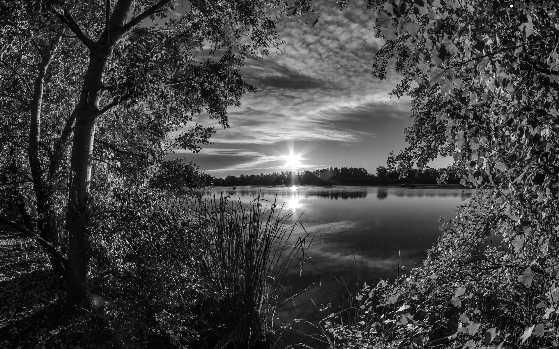 trees, lake, rays of the Sun, clouds, viewes, forest