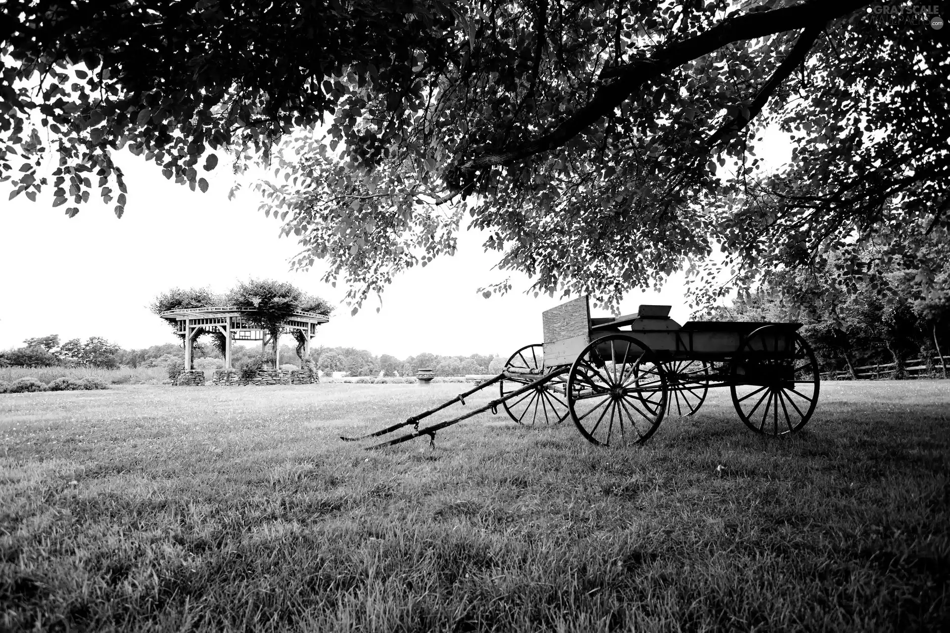 trees, country, arbour, wagon, Meadow
